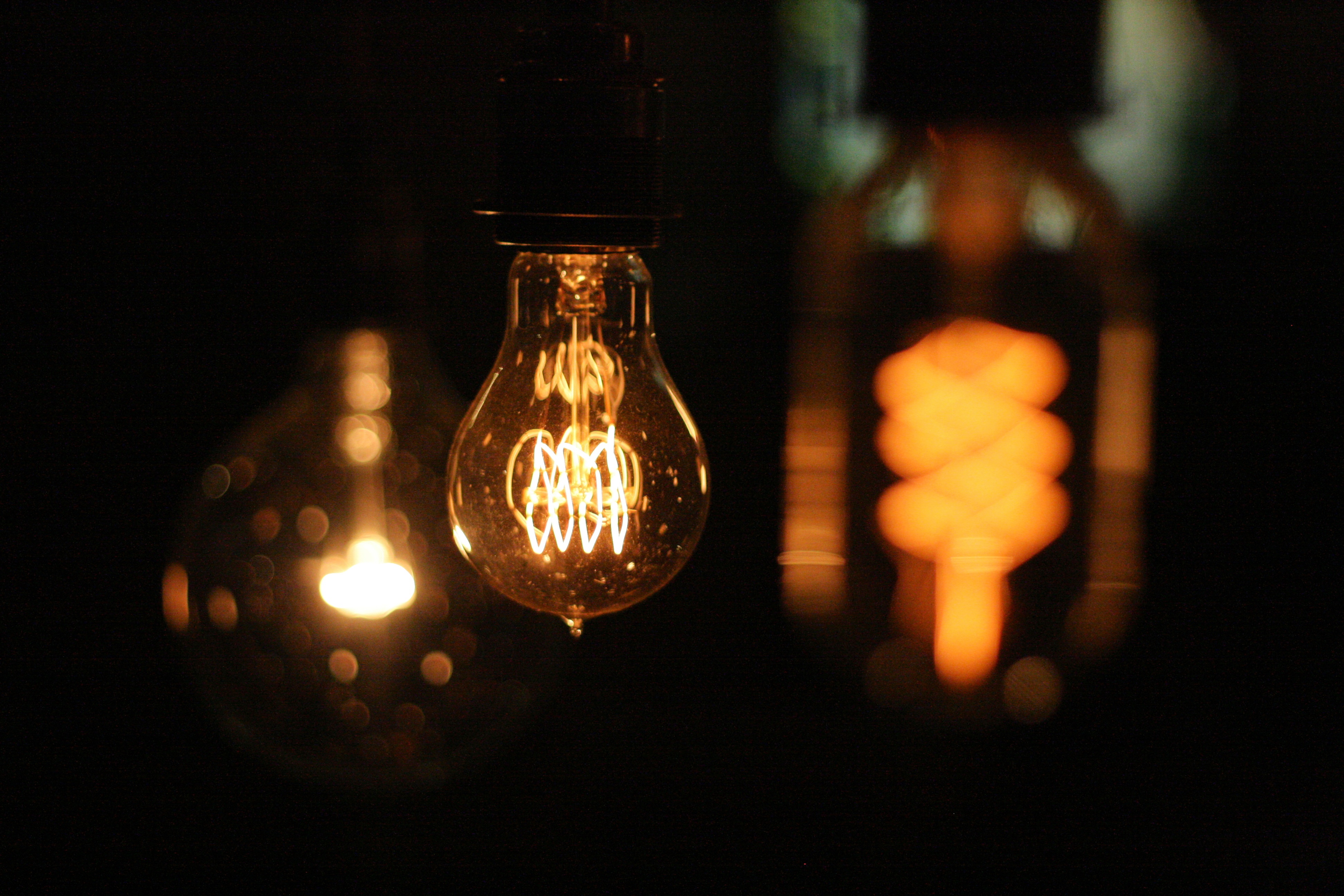 Light bulbs photo