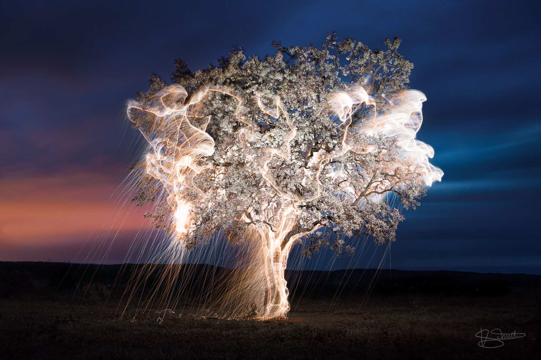 Long Exposure Light Painting Landscapes with Fireworks