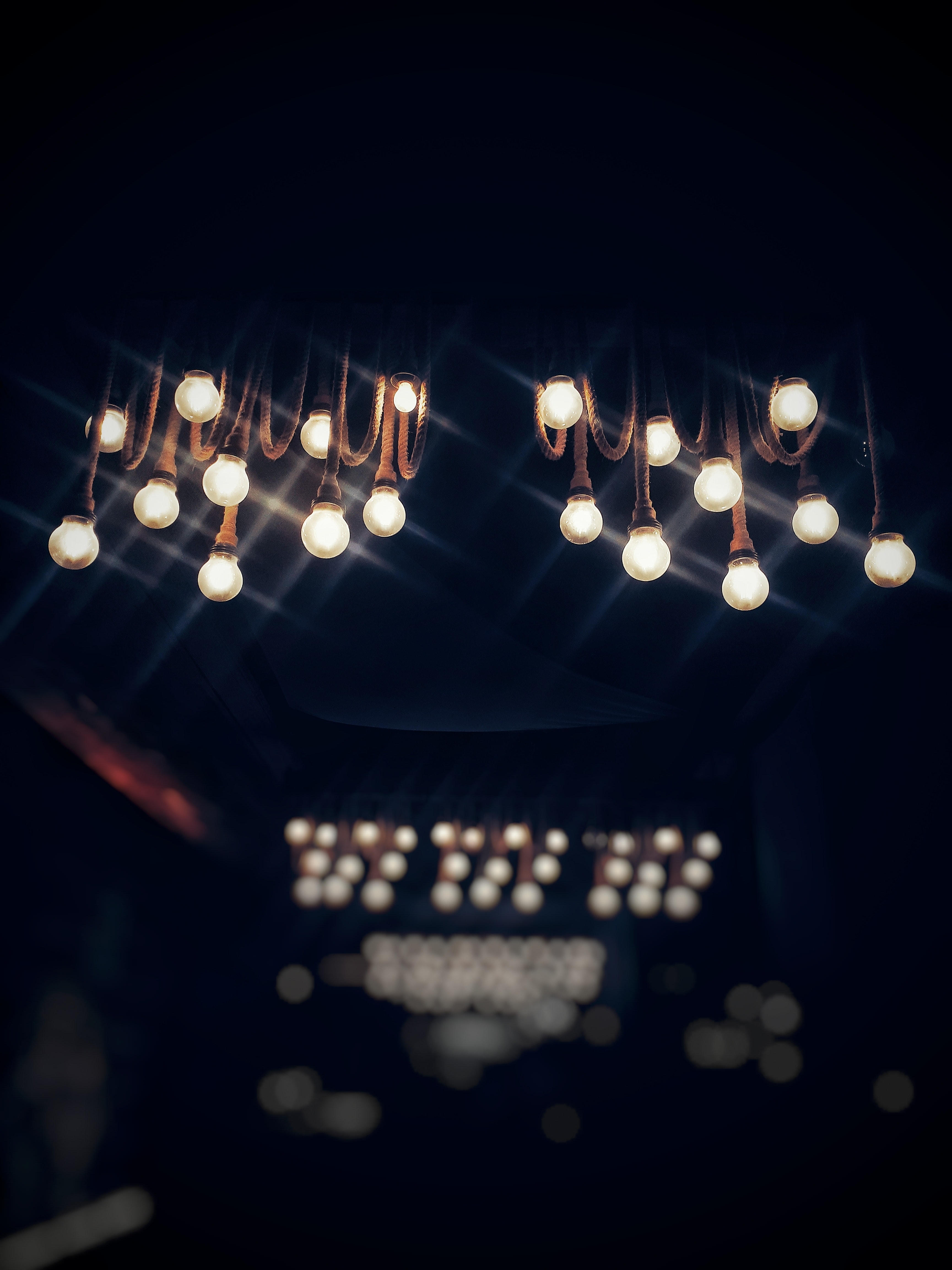 Lighted bulbs photo