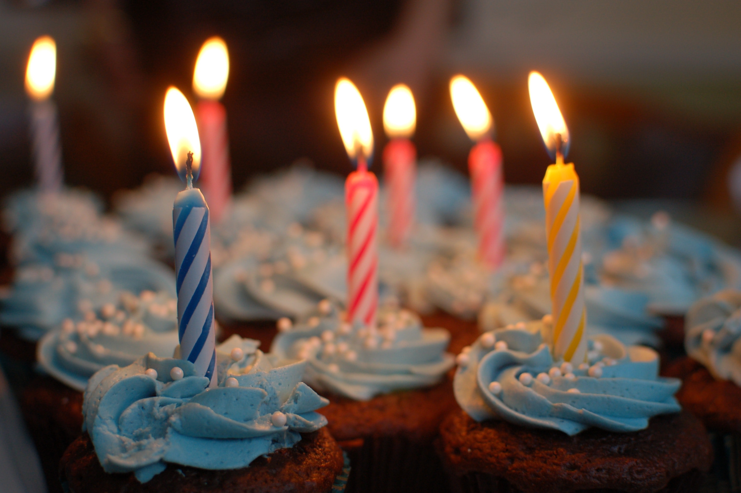Lighted Candles on Cupcakes, Birthday, Blur, Cake, Candles, HQ Photo