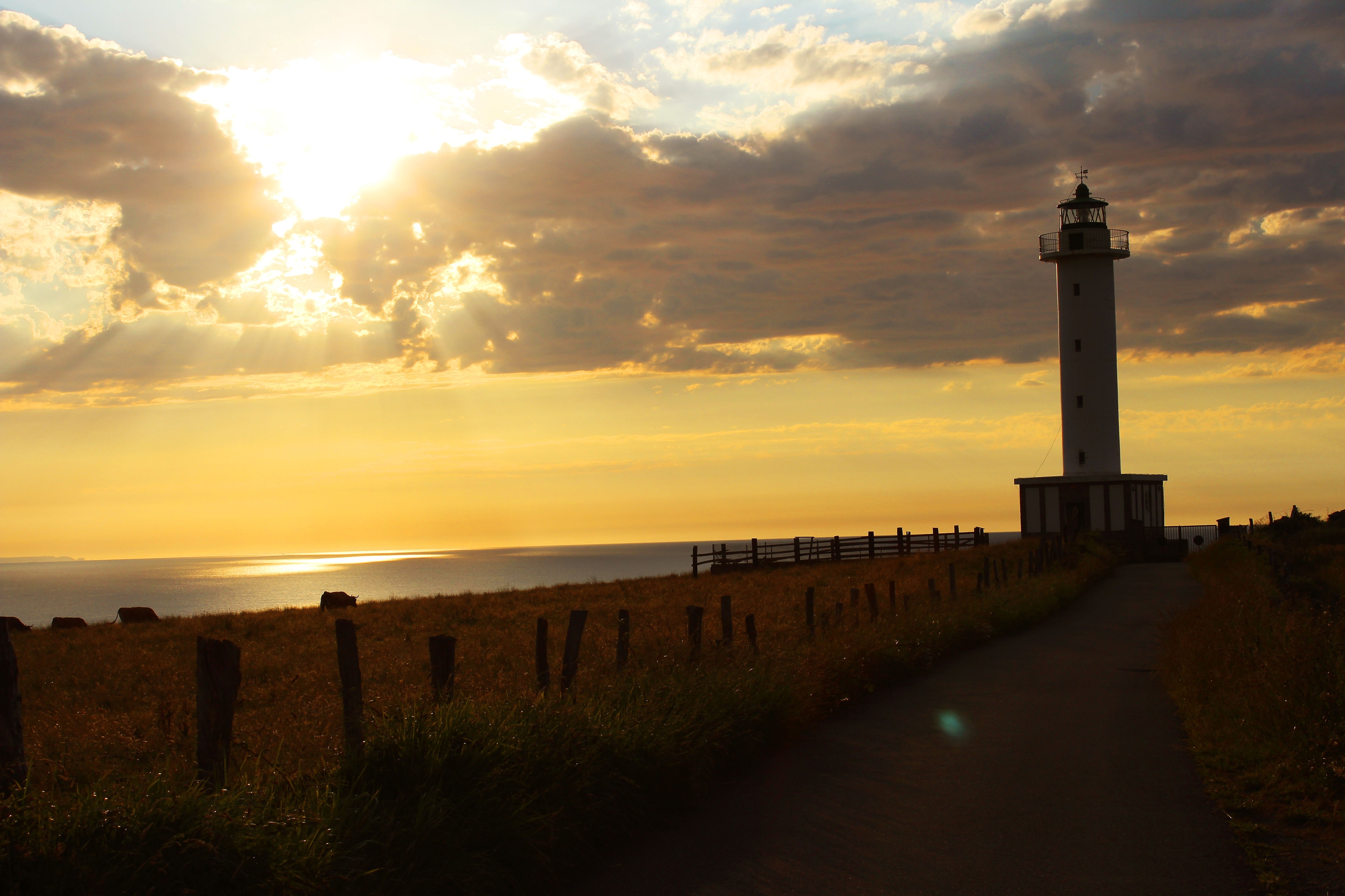 Lighthouse near ocean during golden hour photo