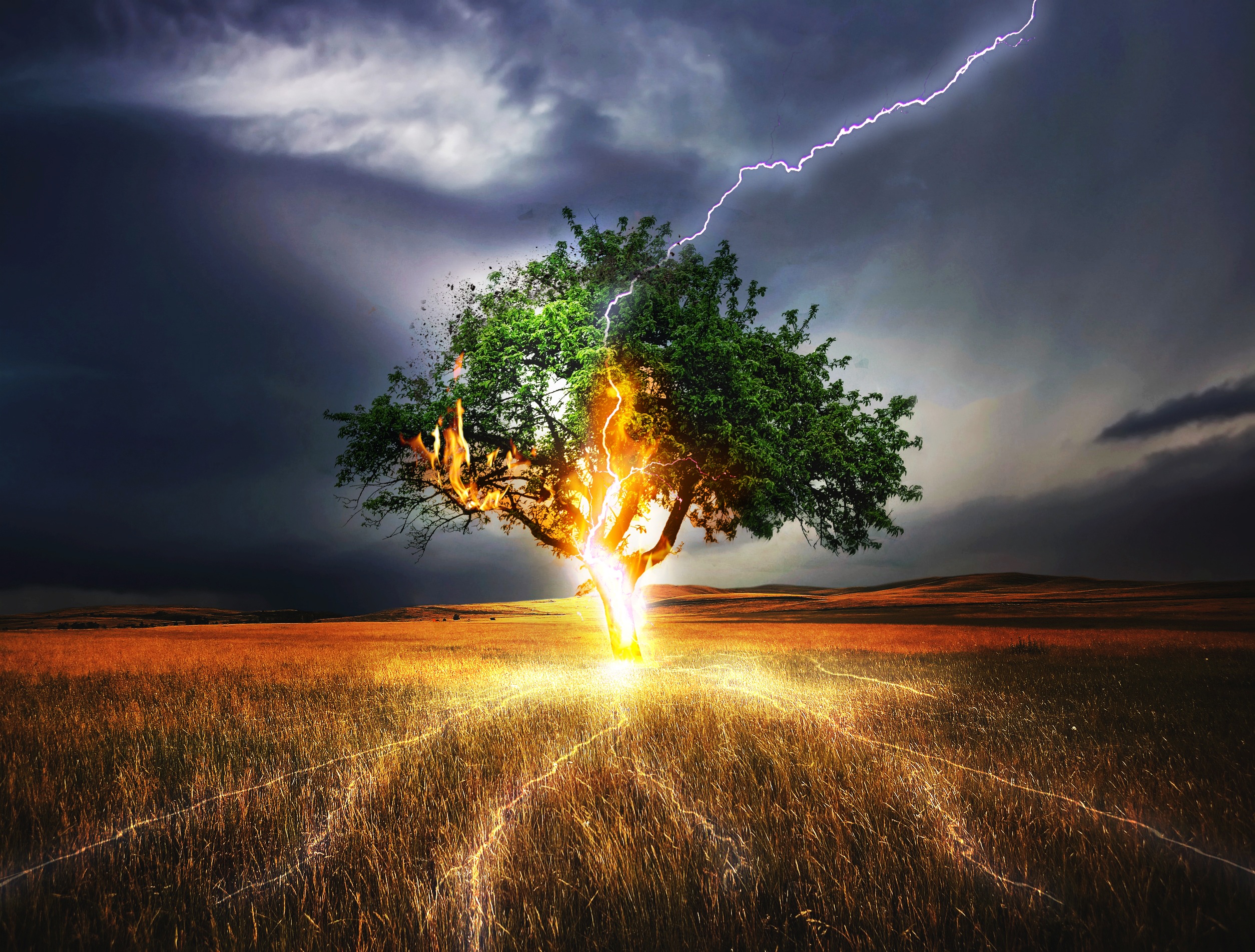 Lightning on the tree photo