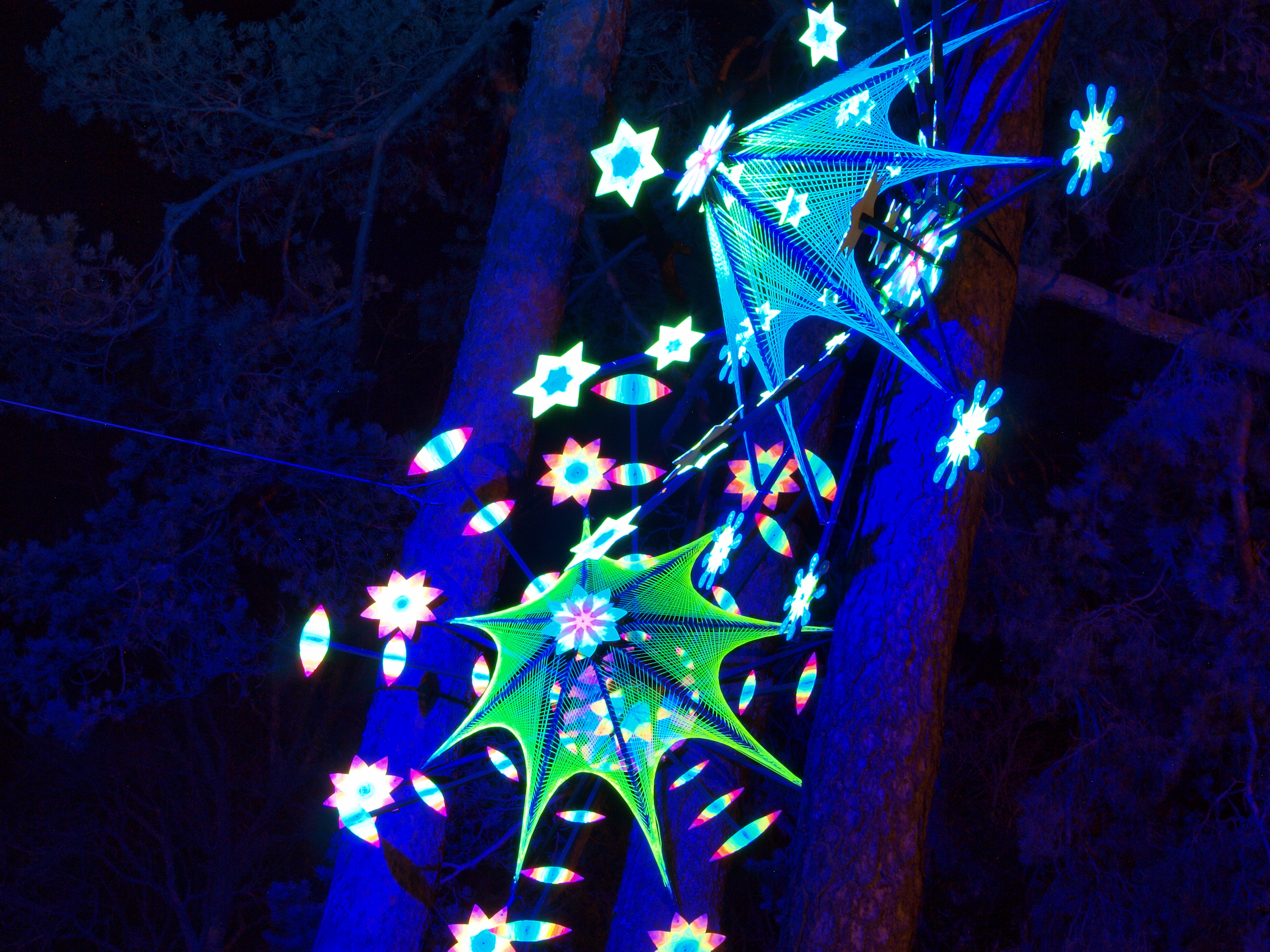 Lightpainting in park photo