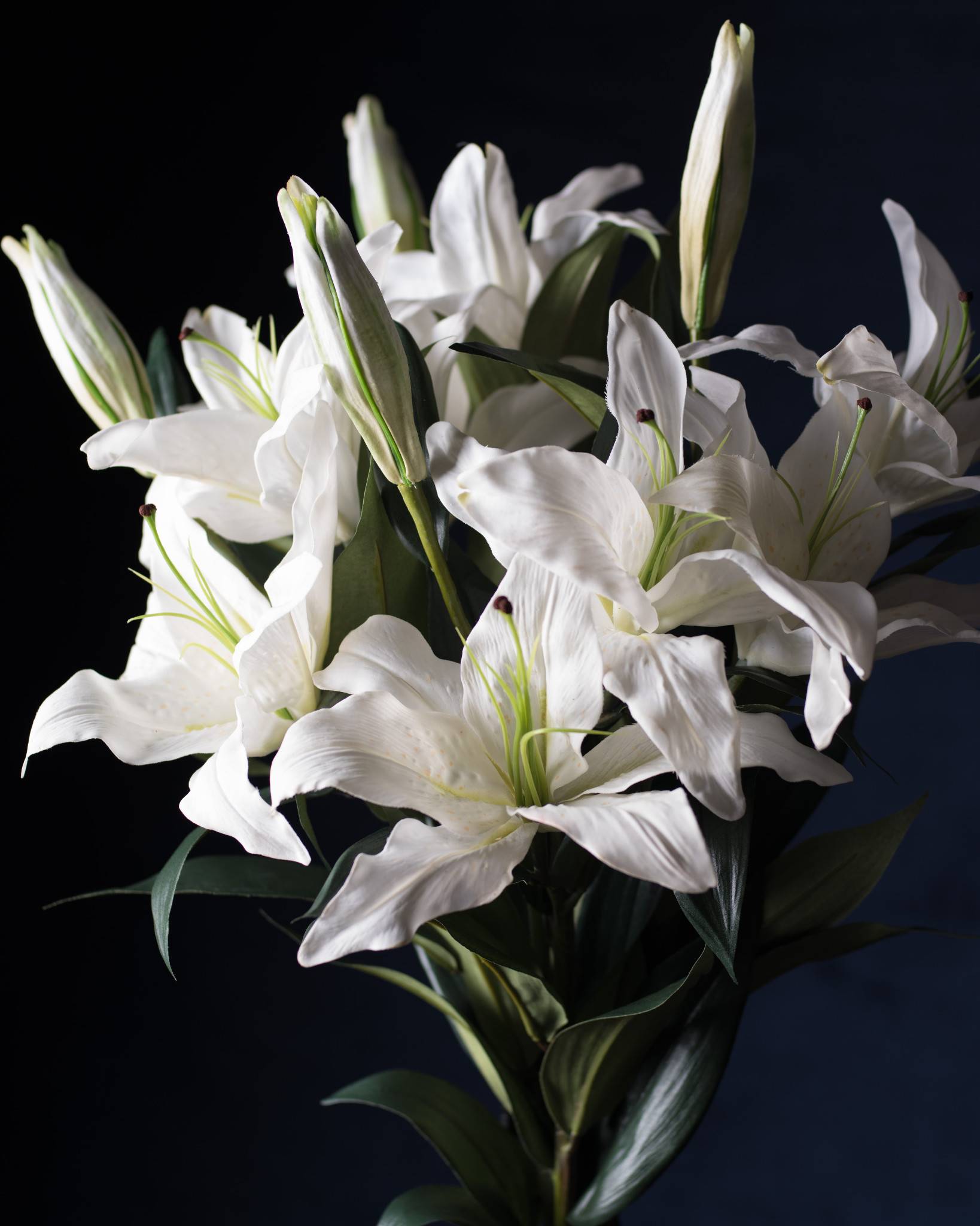 Casablanca Lily Flower Stems | Balsam Hill