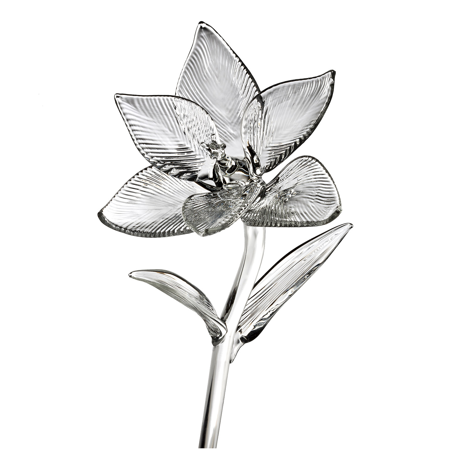 Waterford Fleurology Flowers Lily 38cm - Waterford® Crystal