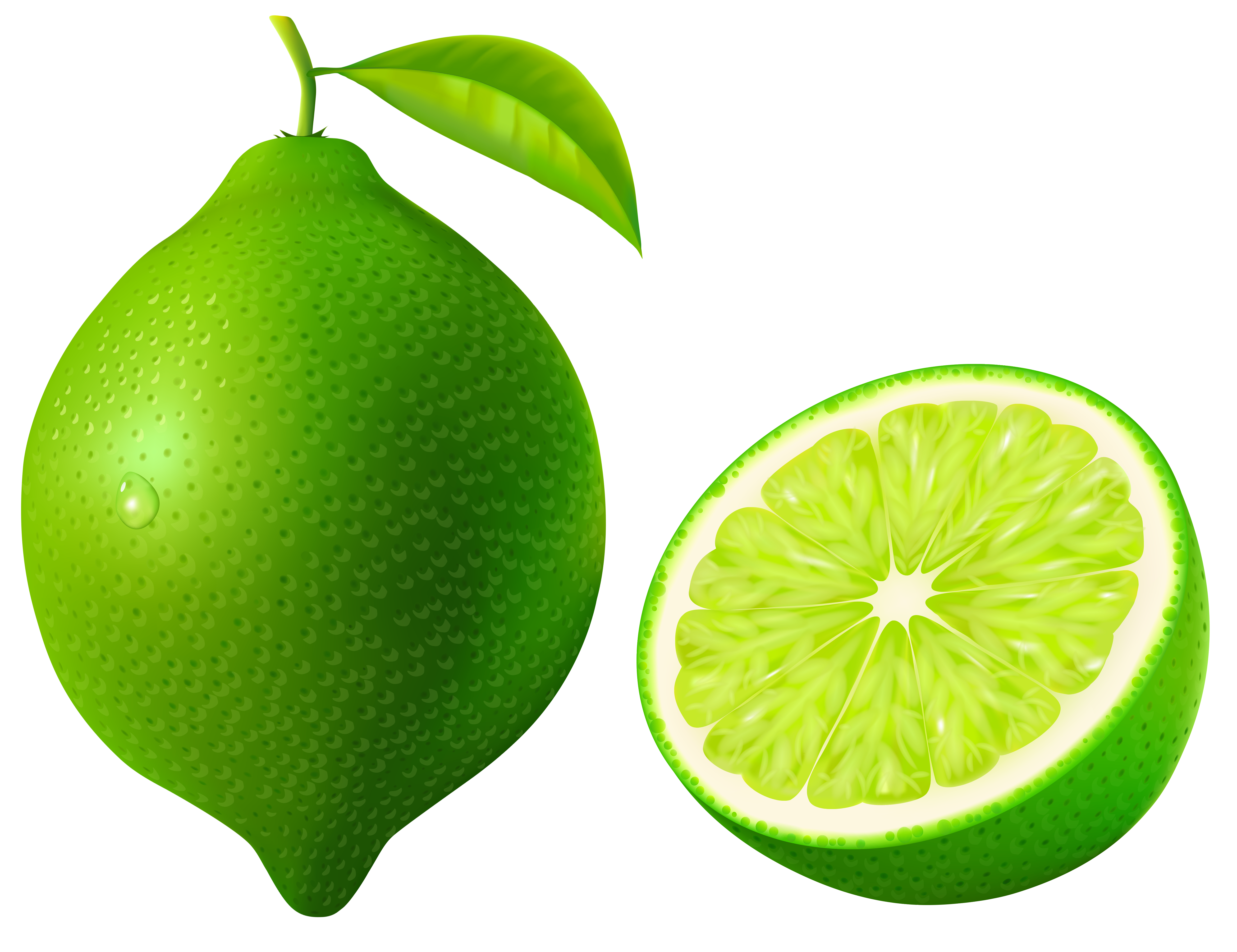 Green Lime PNG Vector Clipart Image | Gallery Yopriceville - High ...
