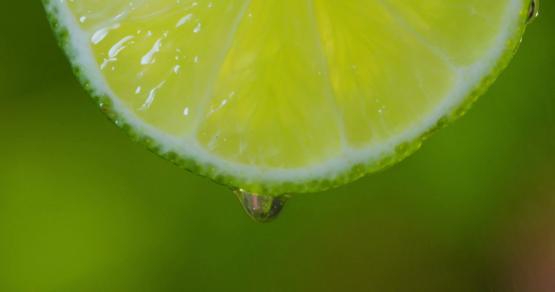 Close up or macro of a slice of orange, a drop of water falls in ...
