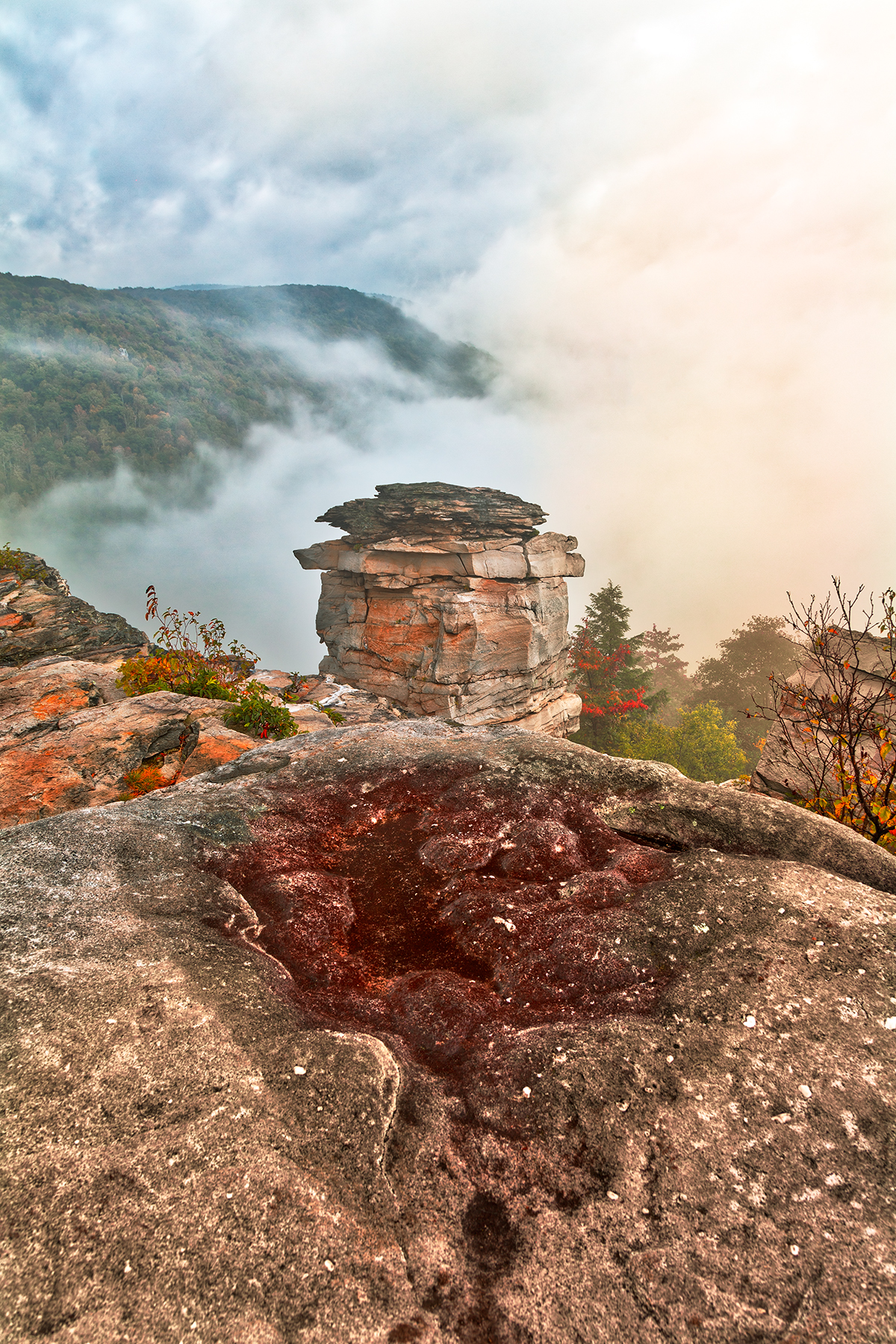 Lindy Point Fog Fantasy, Allegany, Perspective, Rugged, Rough, HQ Photo