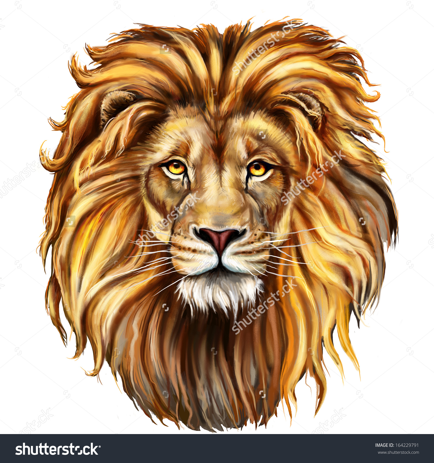Lion Head Drawing at GetDrawings.com | Free for personal use Lion ...