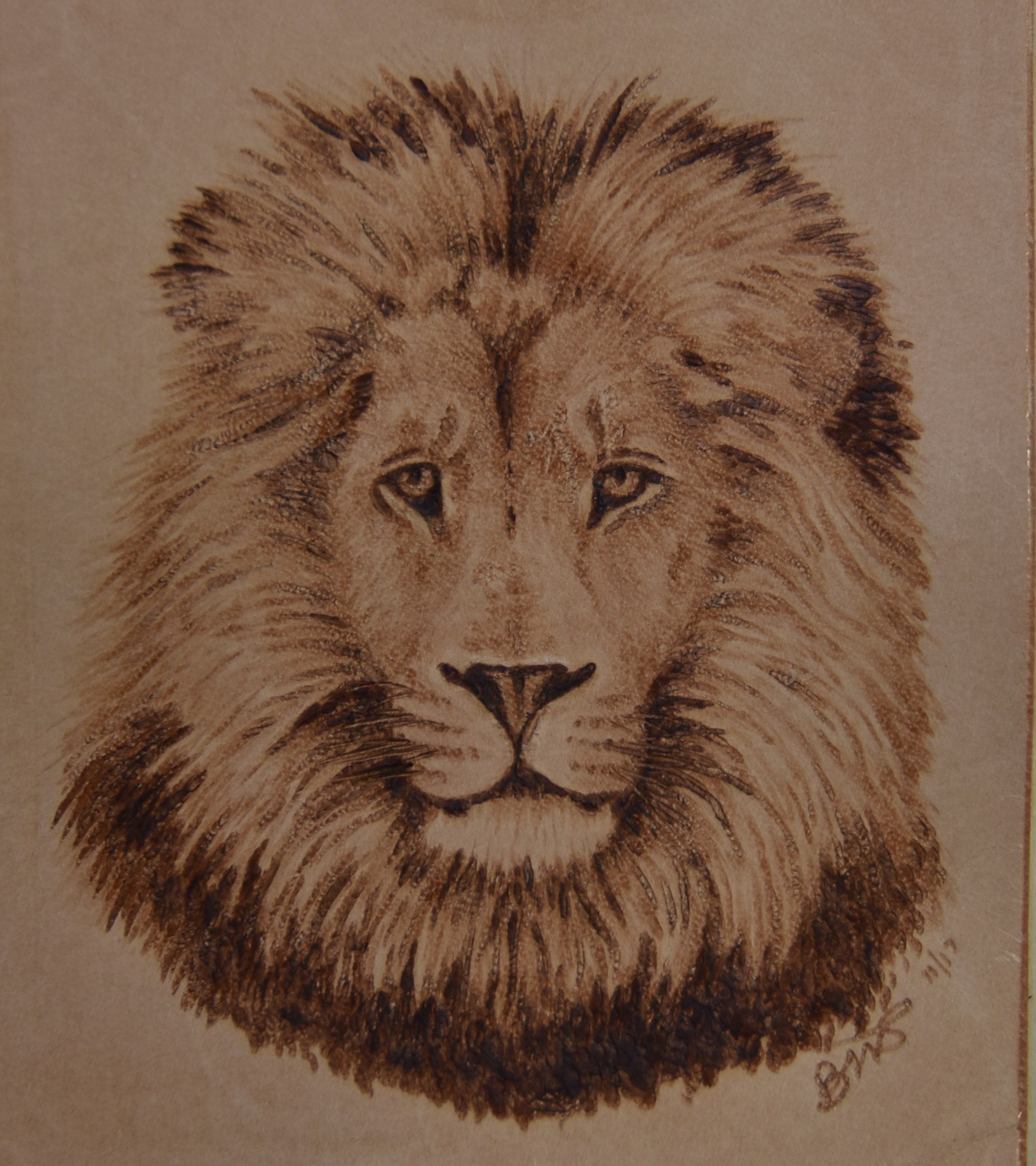 Lion on Leather Pyrography Artwork wood burning |