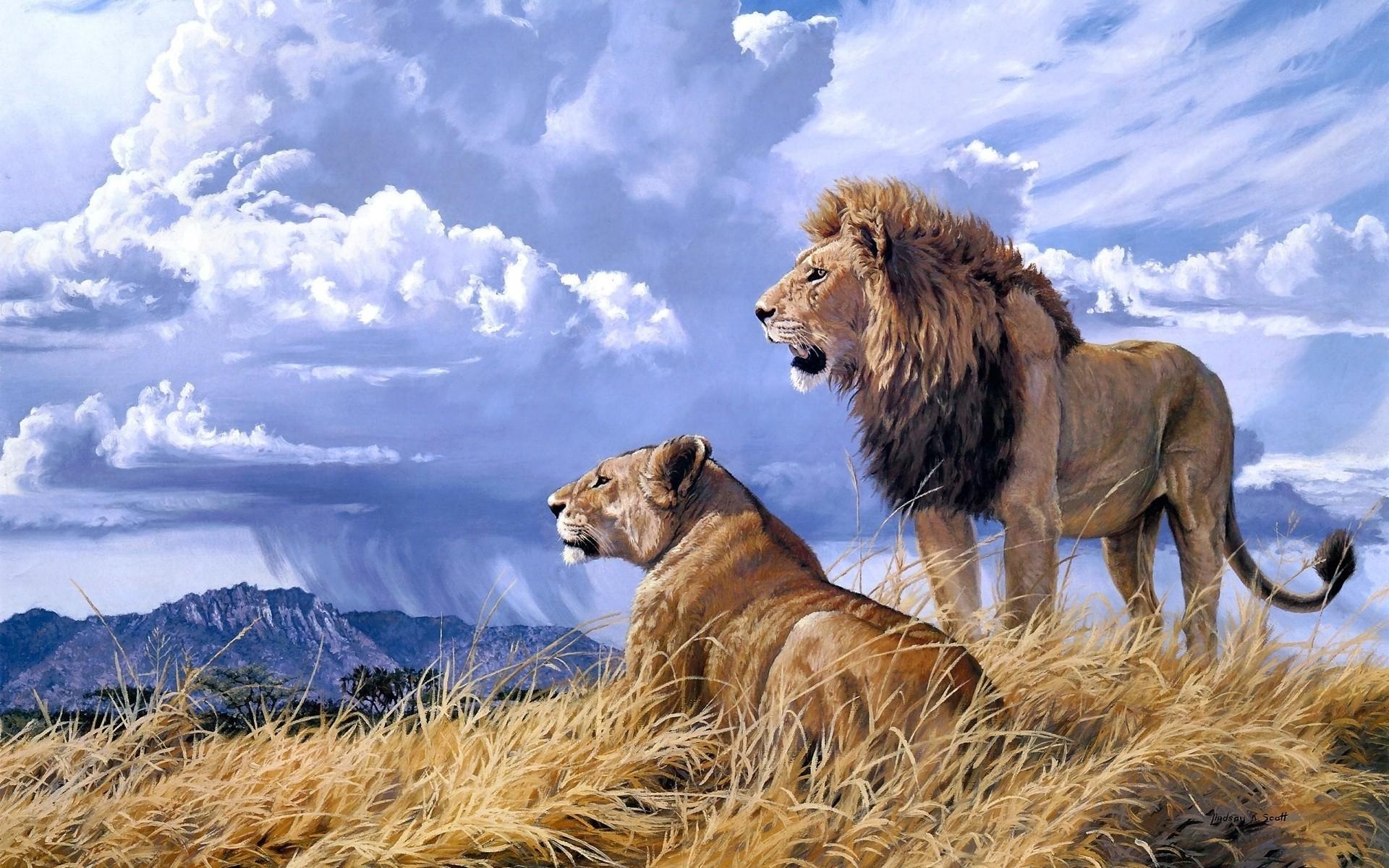 Lion and lioness couple in forest animal images | HD Wallpapers Rocks