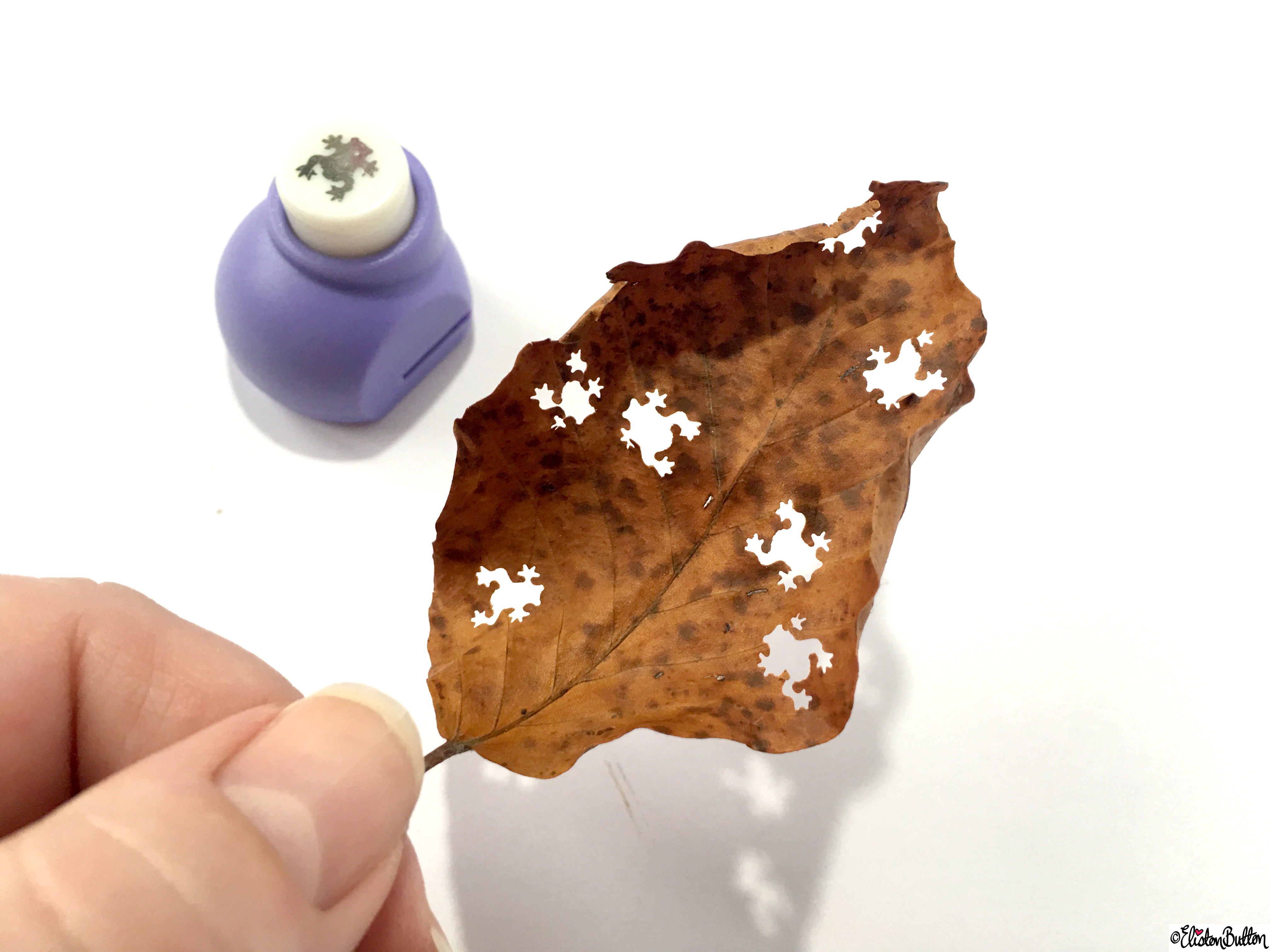Workspace Wednesday - Autumn Leaf Art - Eliston Button
