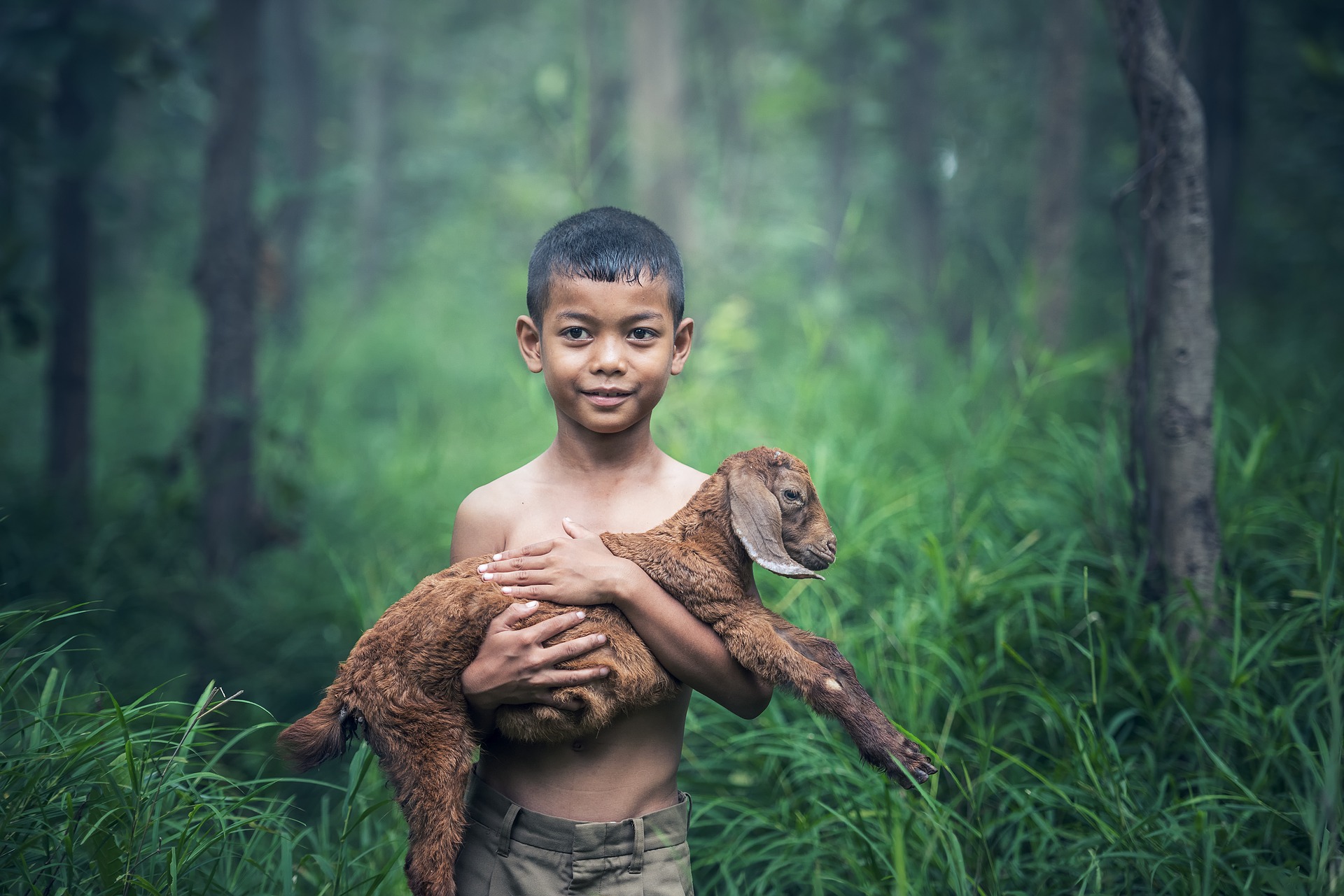 Little boy with goat photo