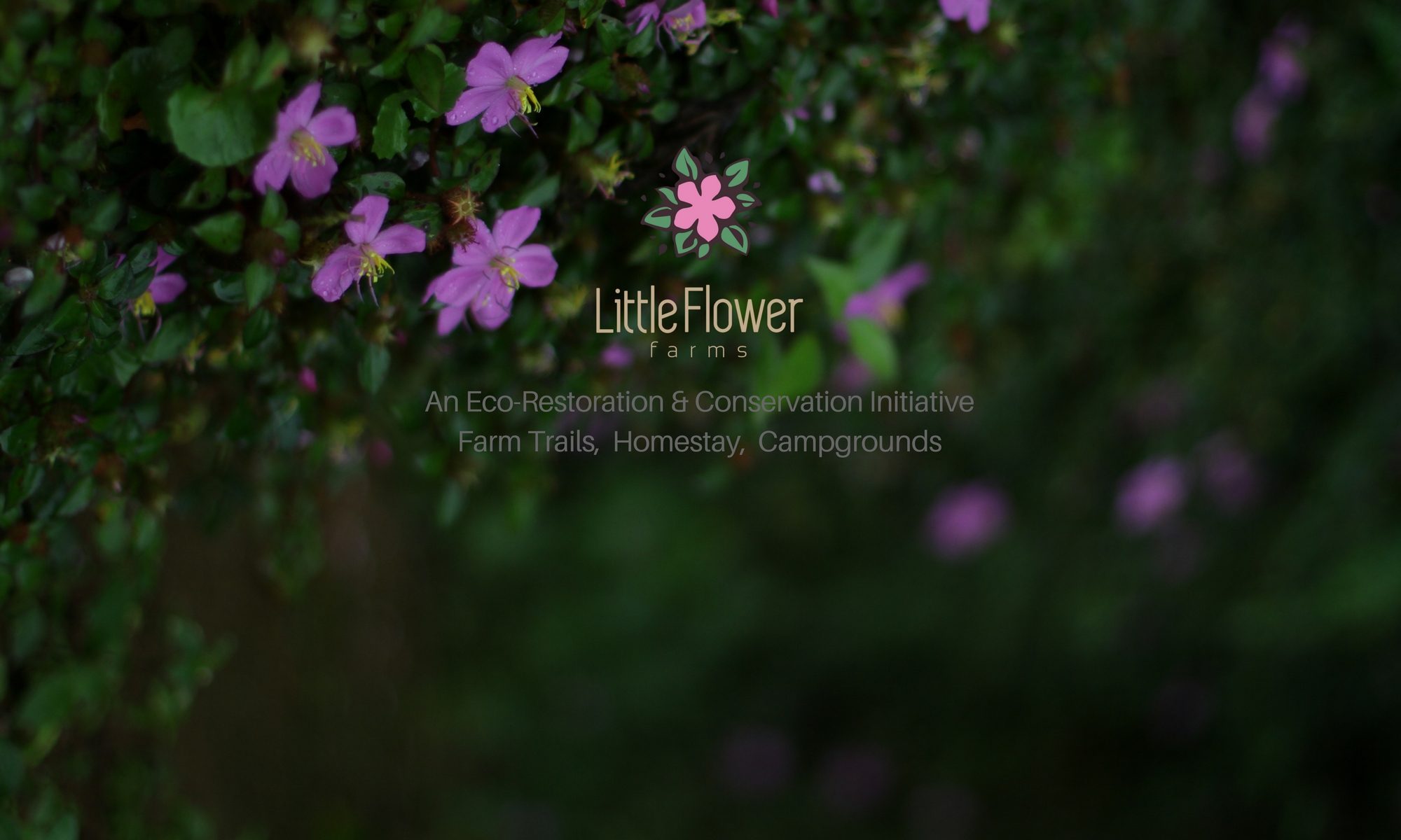 Little Flower Farms – Conservation, Restoration, Education