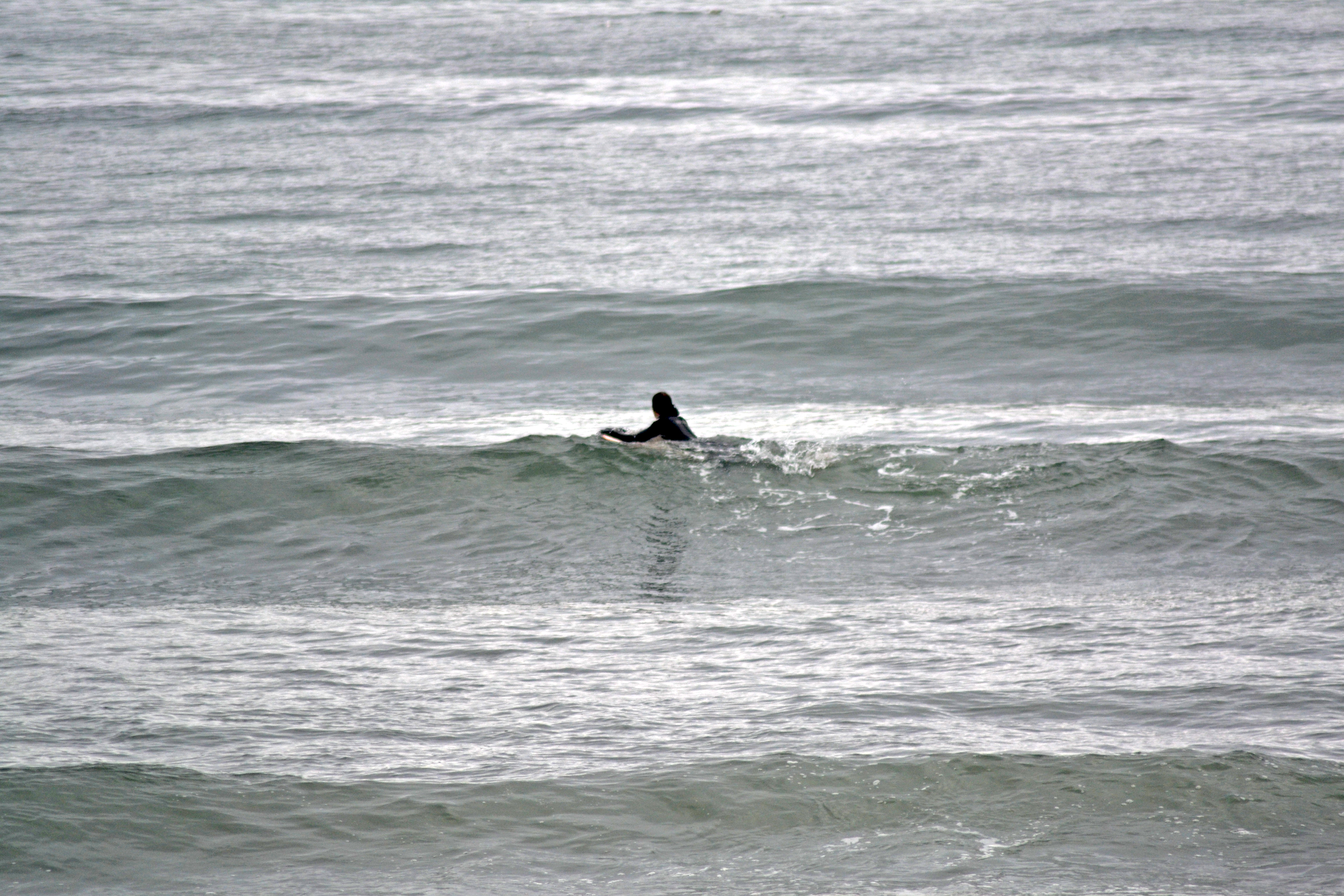 Little friendly waves photo