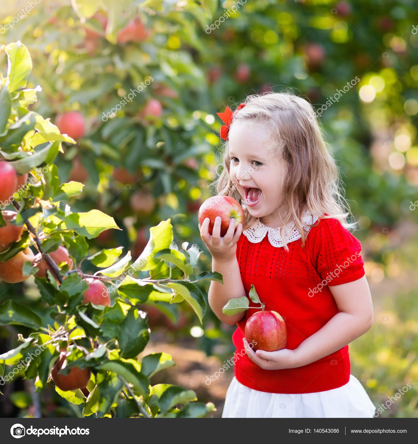 Little girl picking apple in fruit garden — Stock Photo © FamVeldman ...