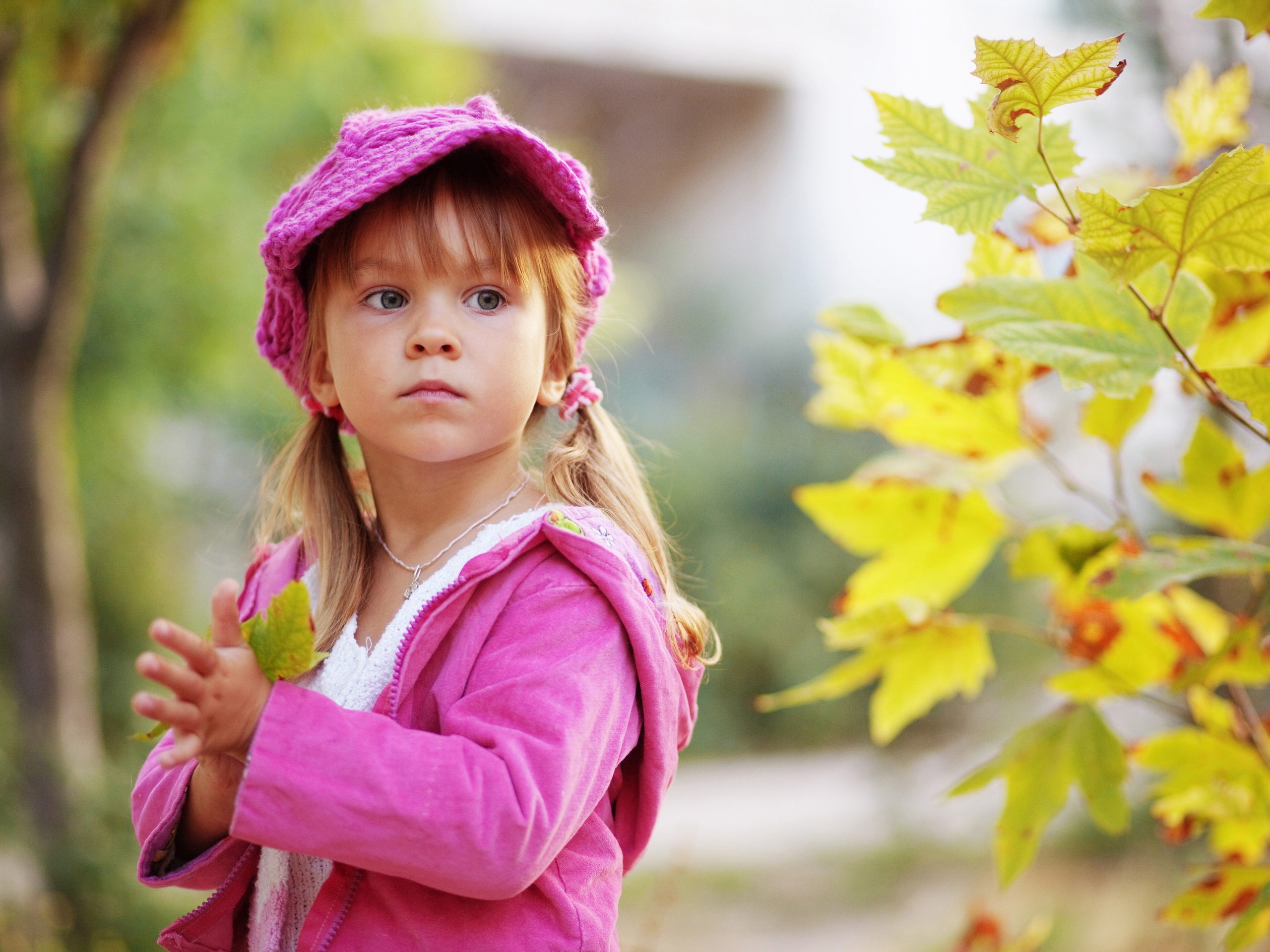 Wallpaper Cute little girl holding a maple leaf 2560x1920 HD Picture ...