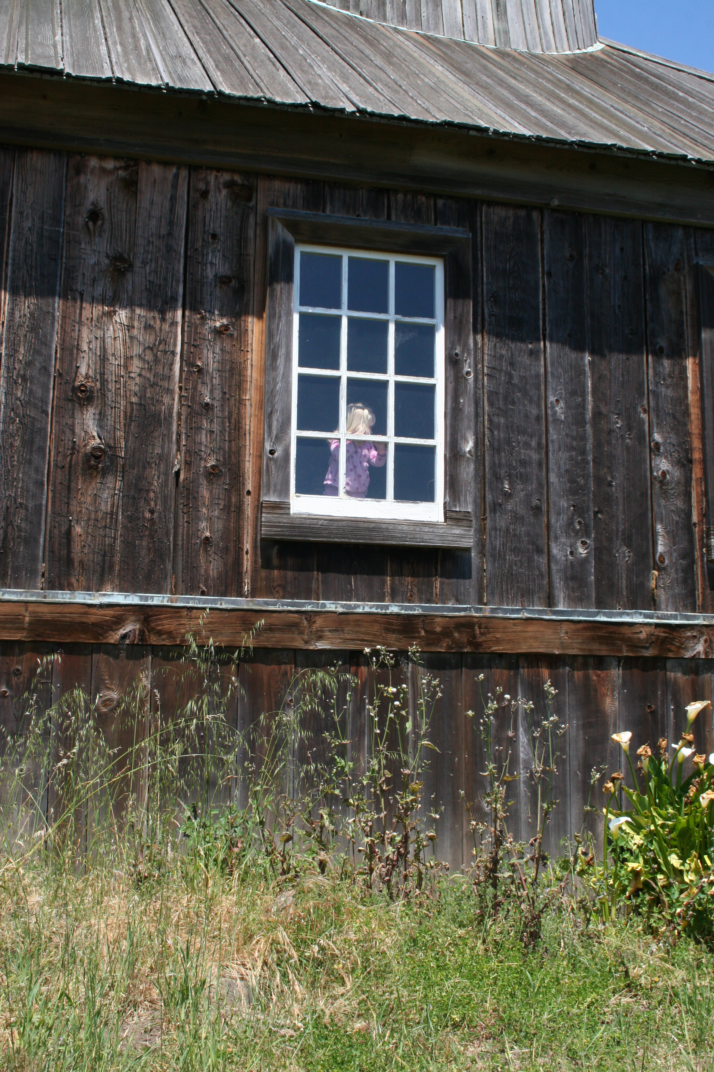 Little girl in a window in a fort photo