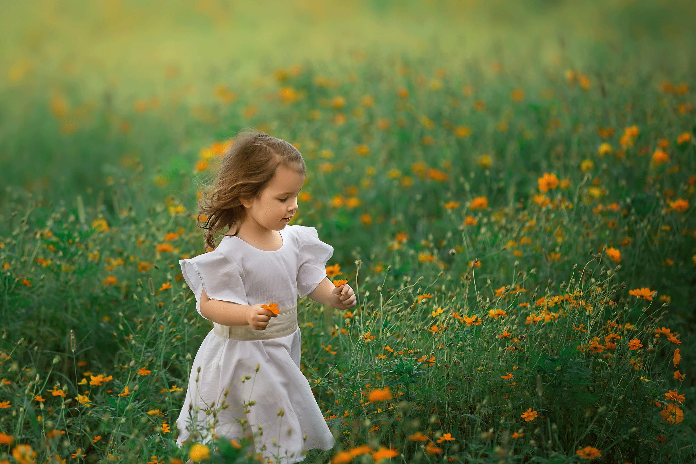 Little-girl-running-through-yellow-flowers - Fine Art Newborn ...