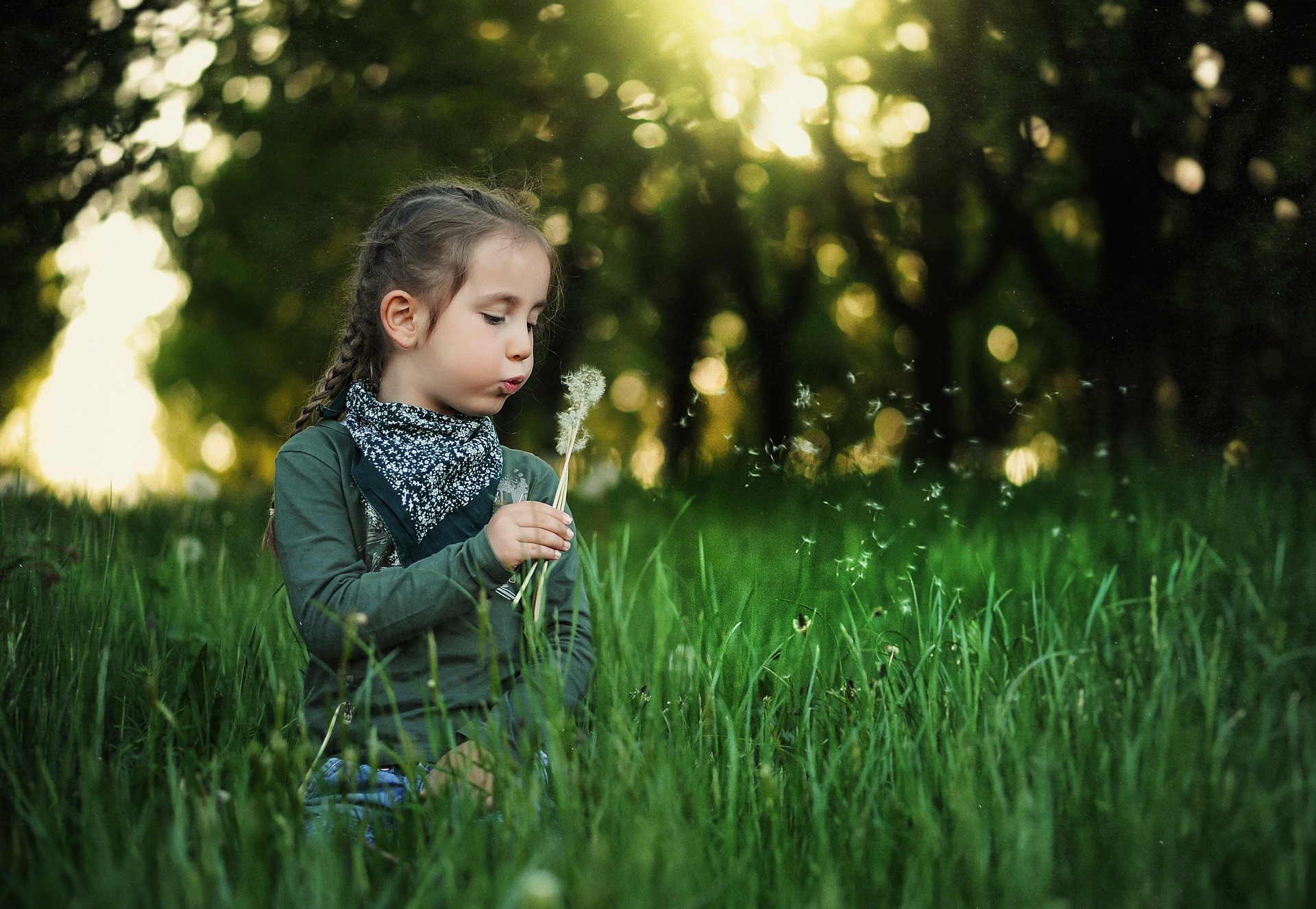 Little girl with dandelion photo
