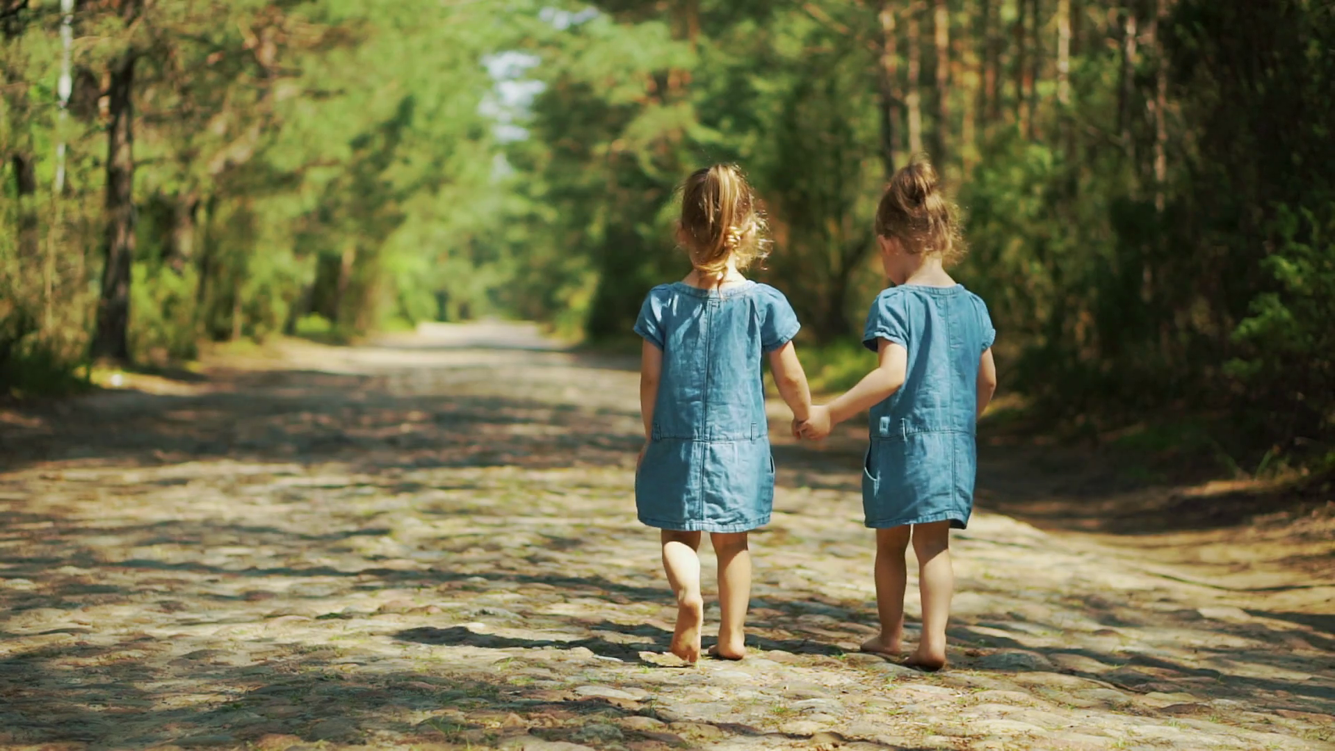 Little girls walking in the woods Stock Video Footage - VideoBlocks
