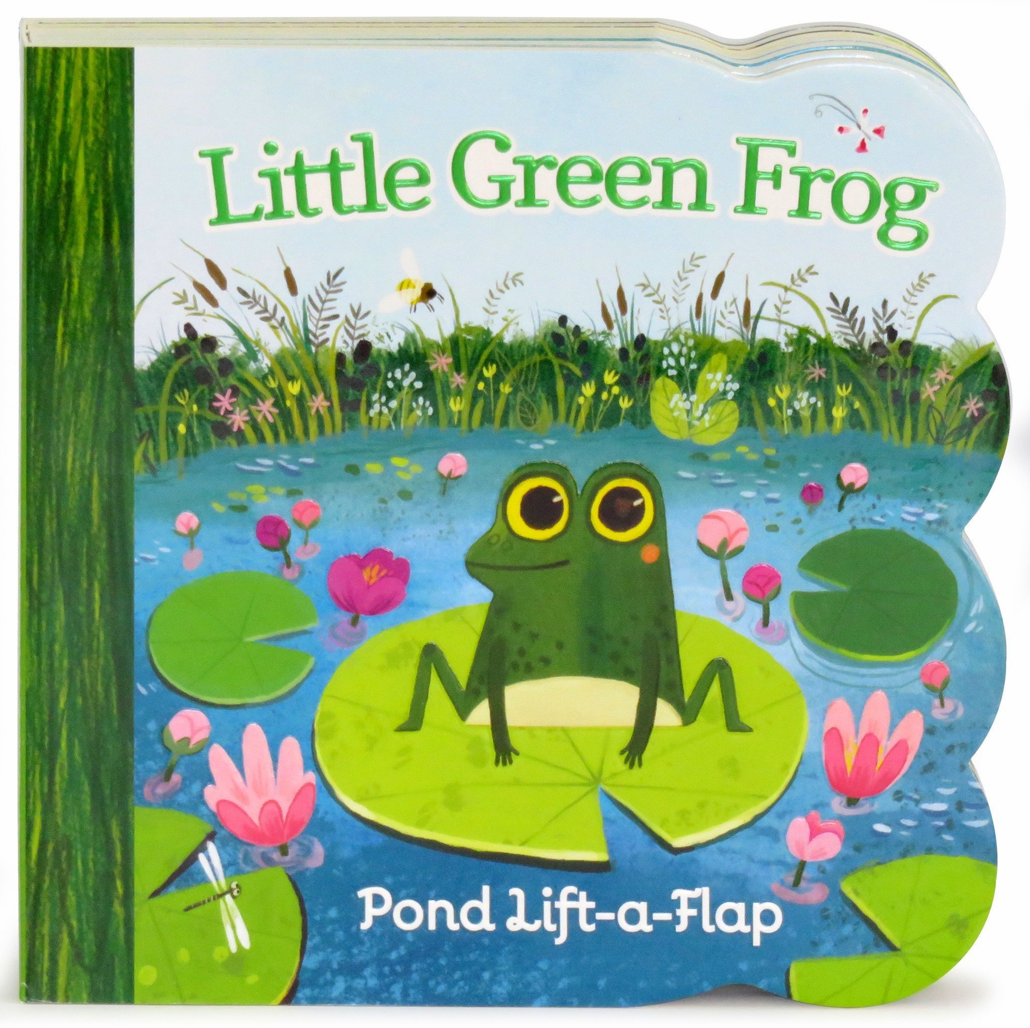 Little green frog photo