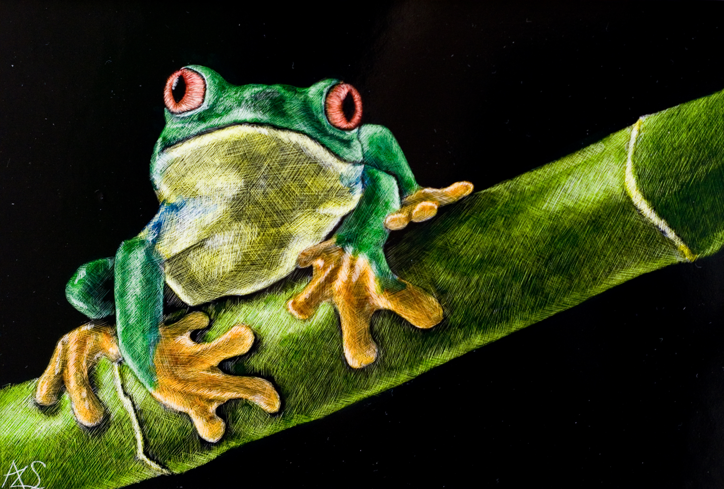 Little Green Frog – Amy Stauffer