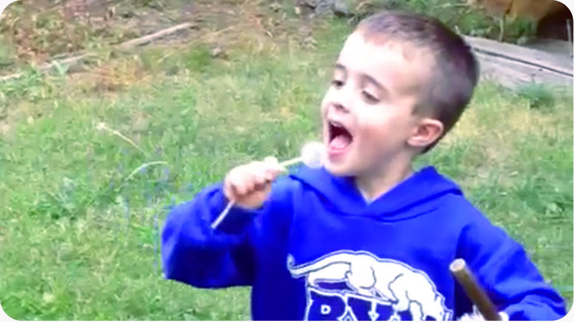 Little Kid Eats Dandelion - YouTube