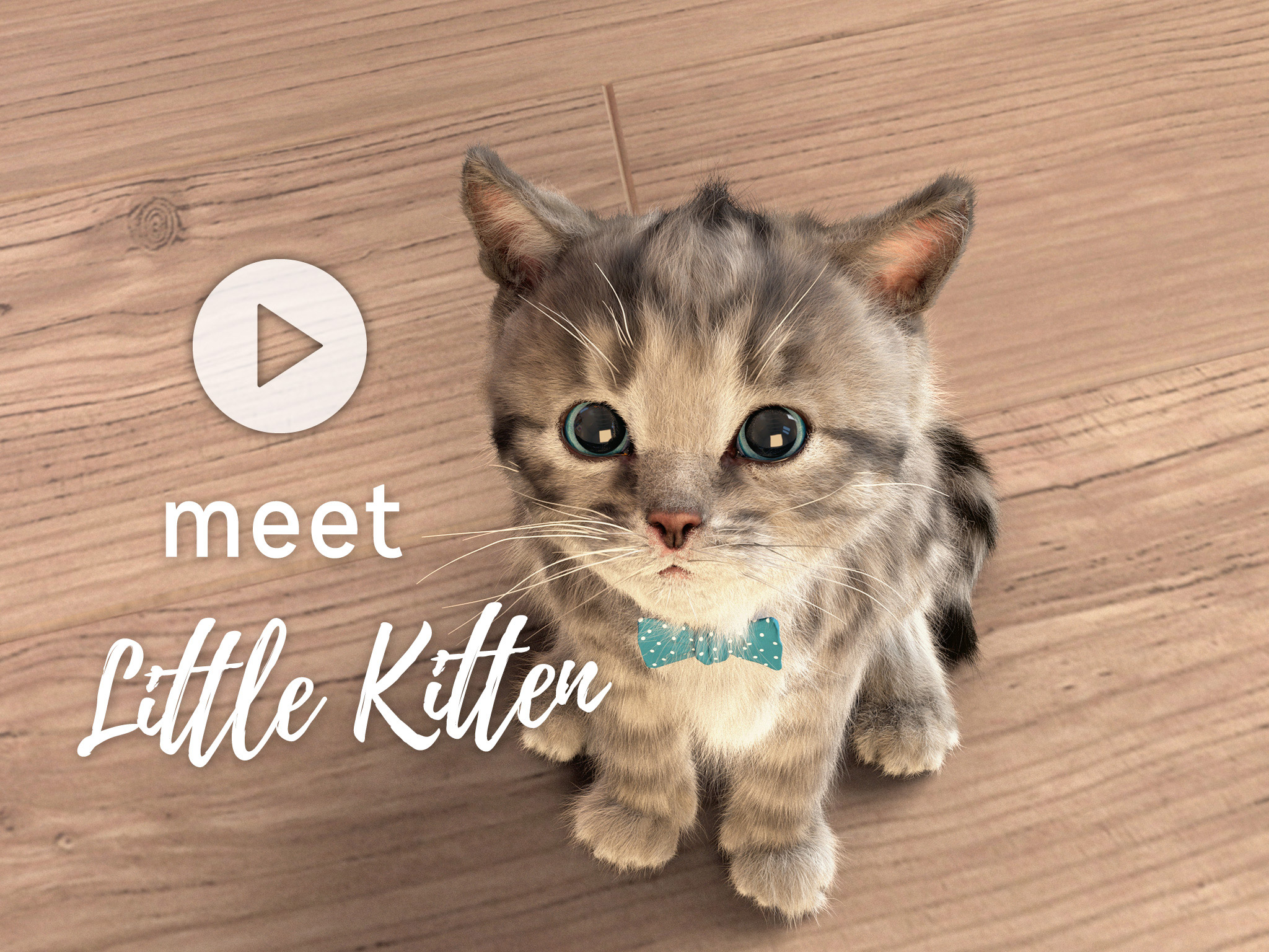Little Kitten – My favorite Cat « Squeakosaurus