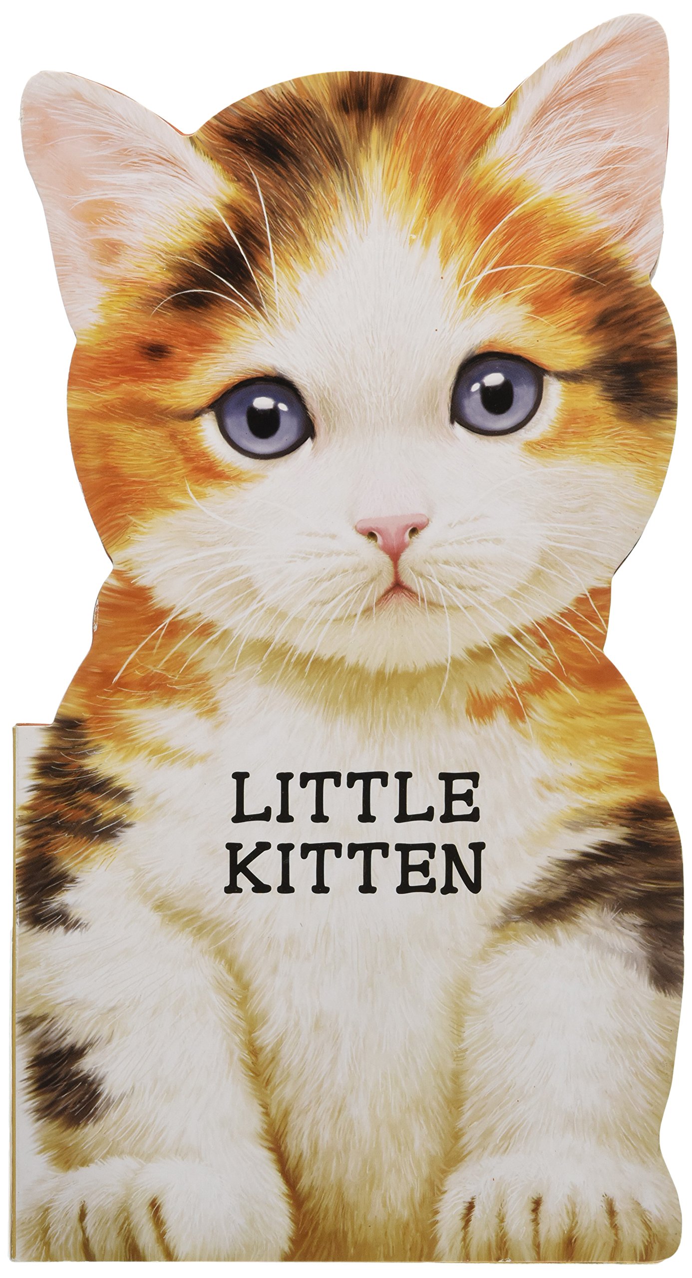 Little Kitten (Look At Me Books): L Rigo: 9780764165238: Amazon.com ...