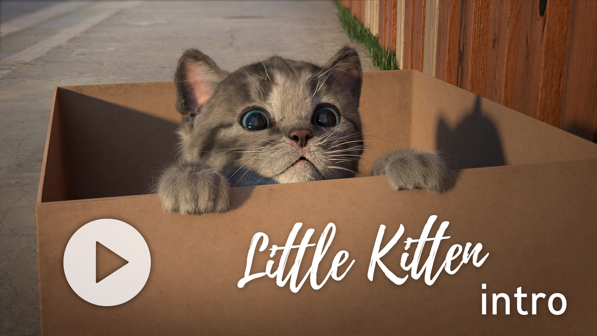 Little Kitten – My favorite Cat « Squeakosaurus
