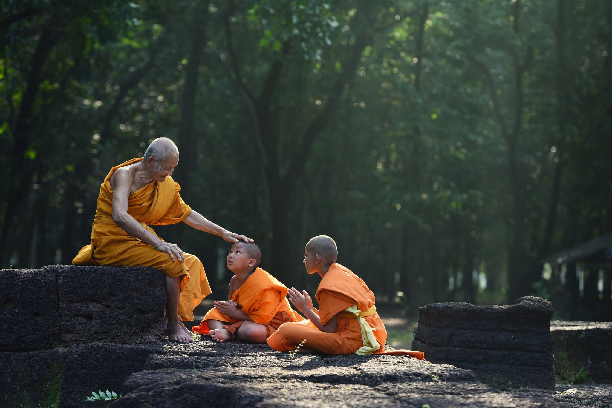 Old monk teaches little monks with kindly mind - Old monk teaches ...
