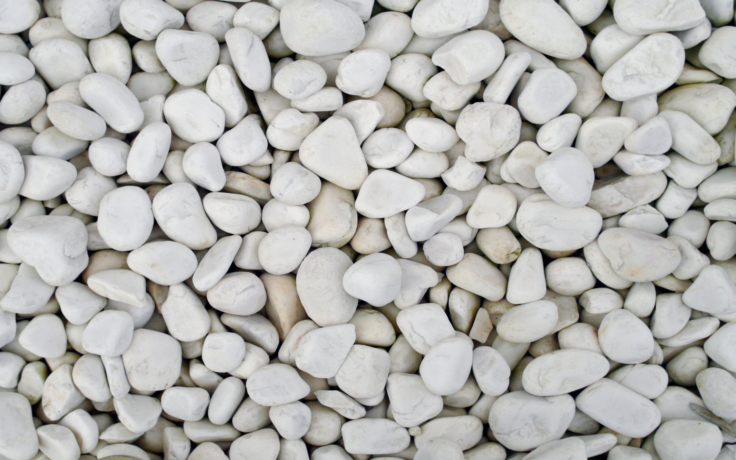 Texture Pebbles White Stones Textures Wallpaper | Textures ...