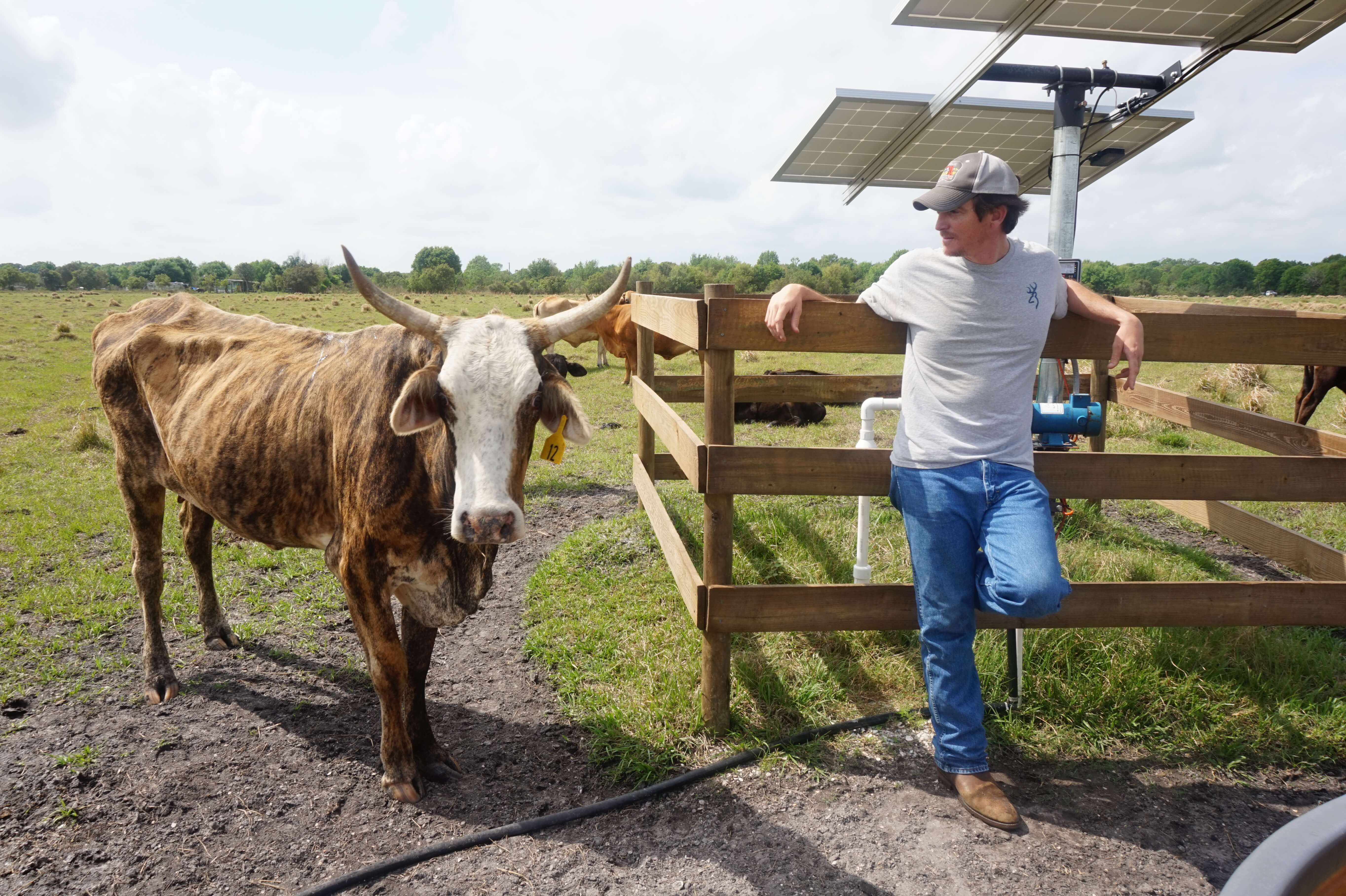 Helping Farmers Solve Problems | Florida Farm Bureau