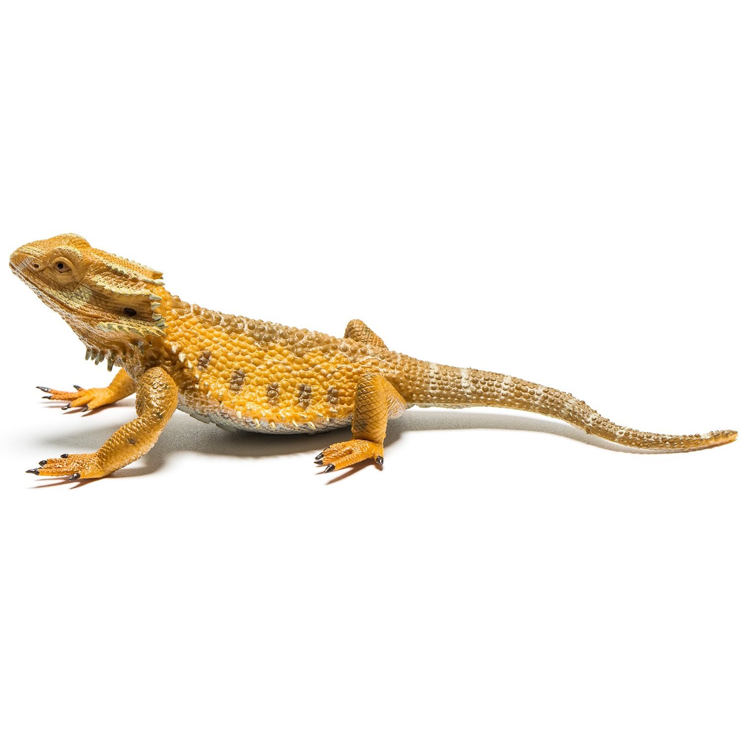 Amazon.com: CollectA Bearded Dragon Lizard Toy Figure - Authentic ...