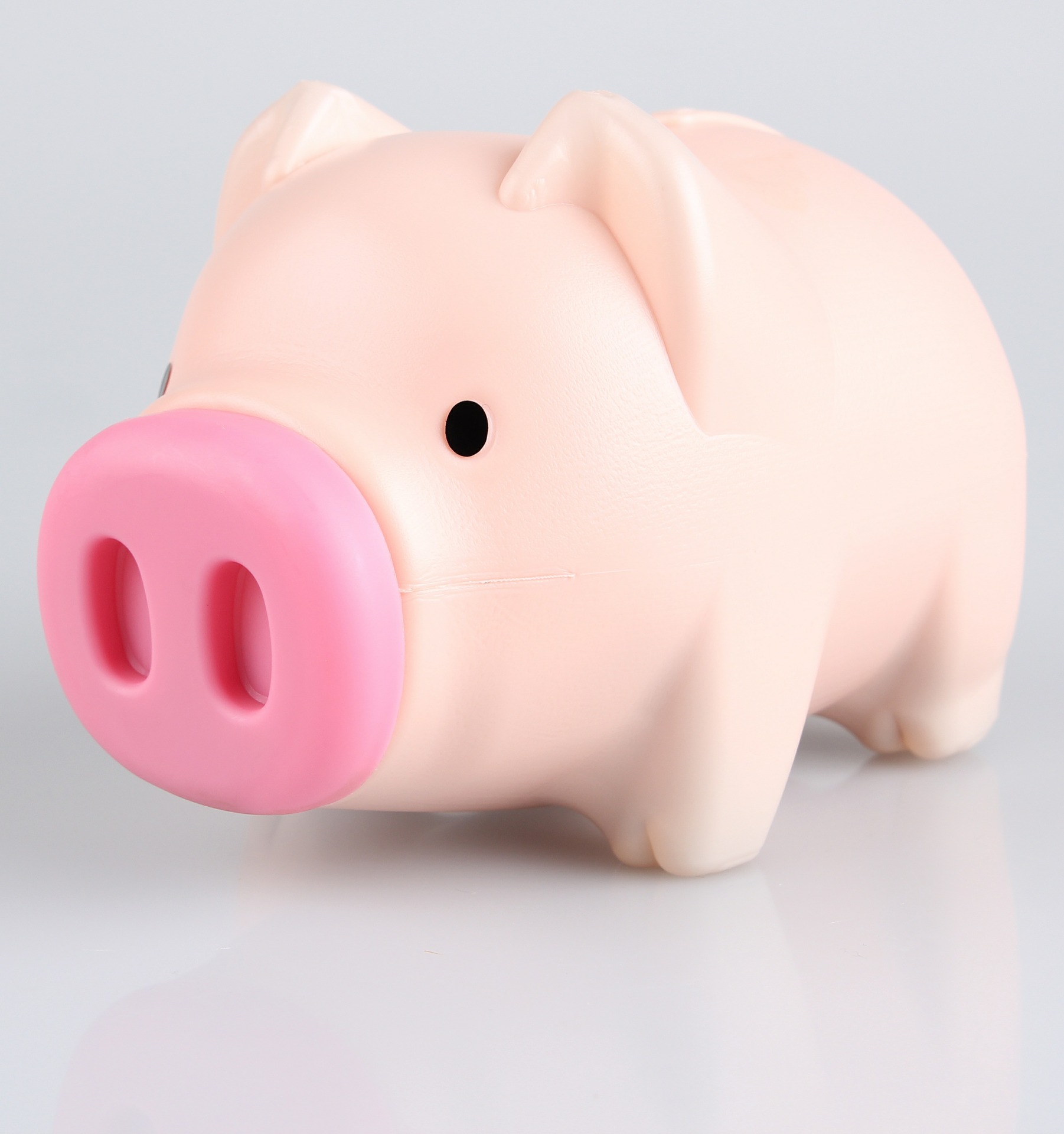 Pocket Money | Short Term Loans & Payday Loans | PiggyBank