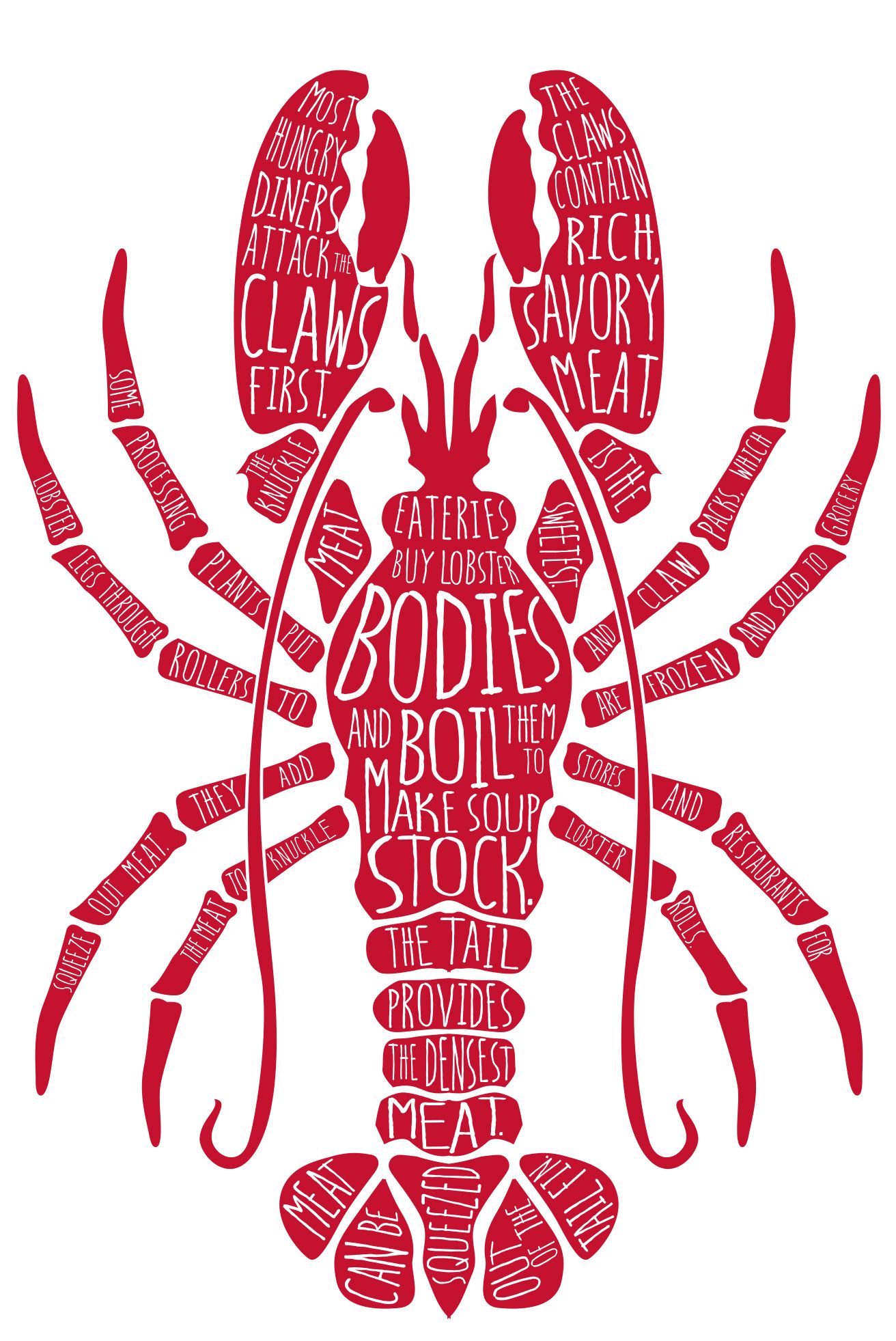 Deconstructing a lobster. Illustration by Maria Jackson ...