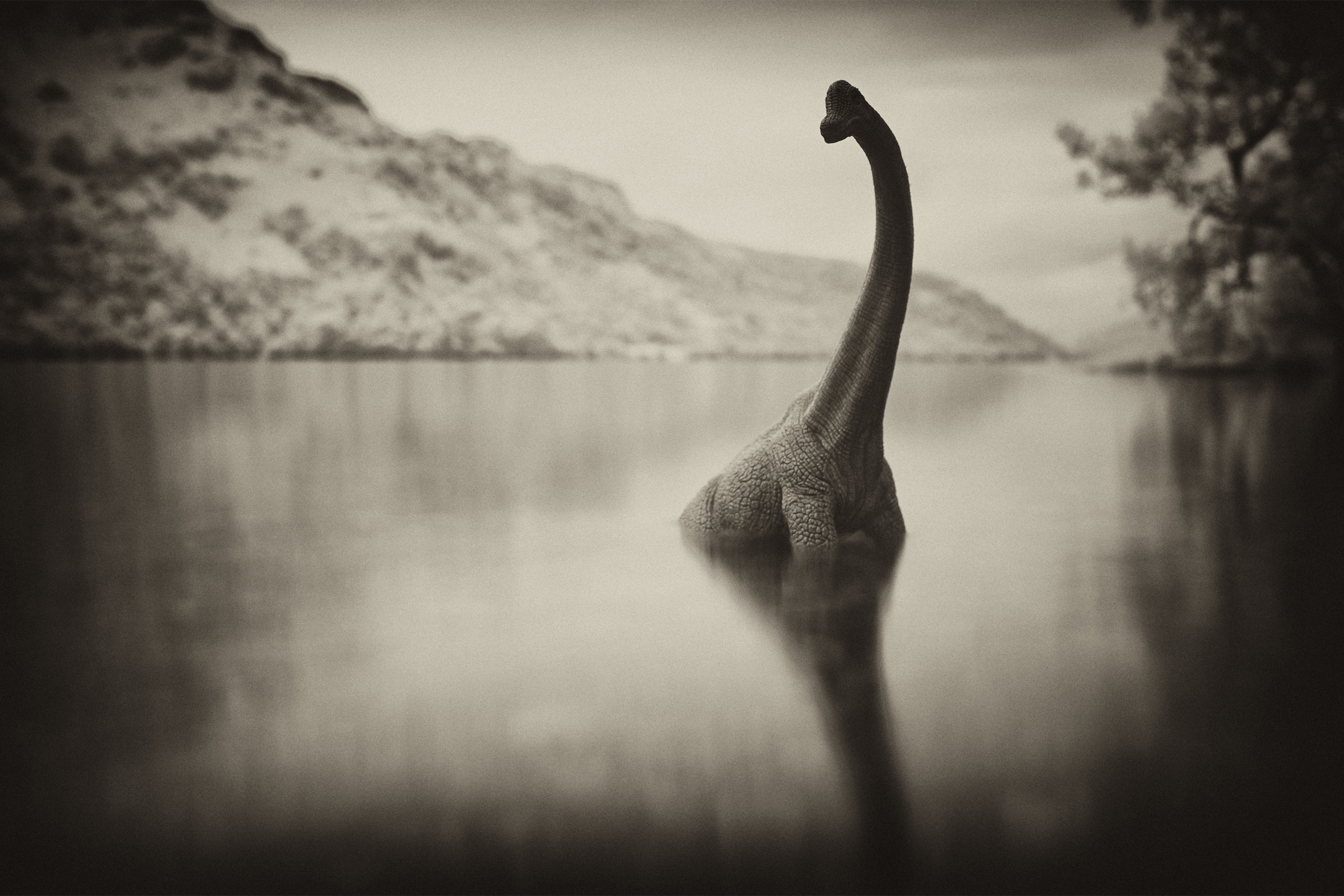 24-Year Hunt For Loch Ness Monster Yields Unexpected Results | Fortune