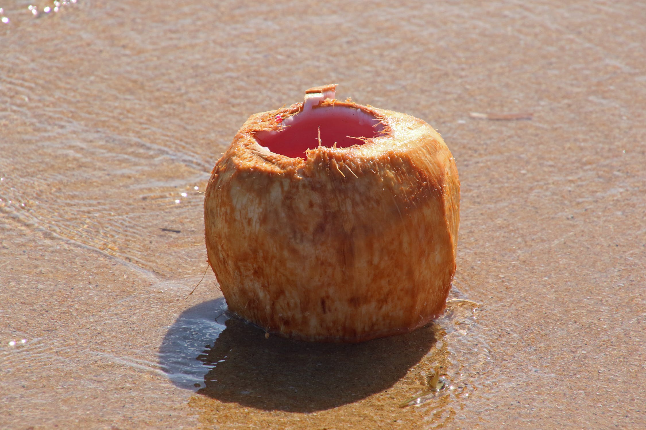 Lone coconut on the sand photo