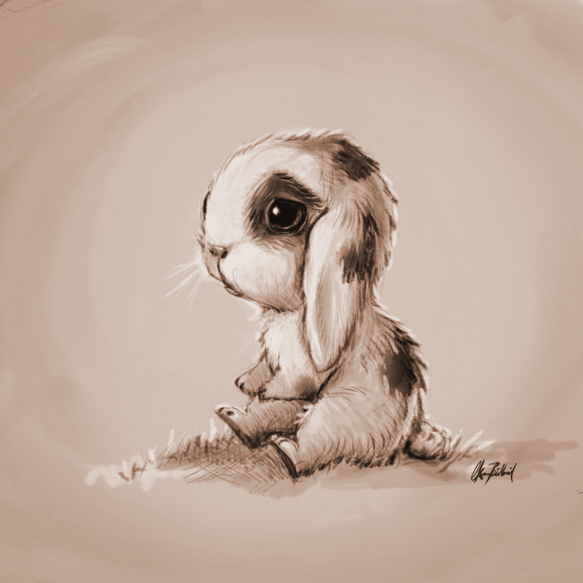 Okan Bülbül - Lonely bunny