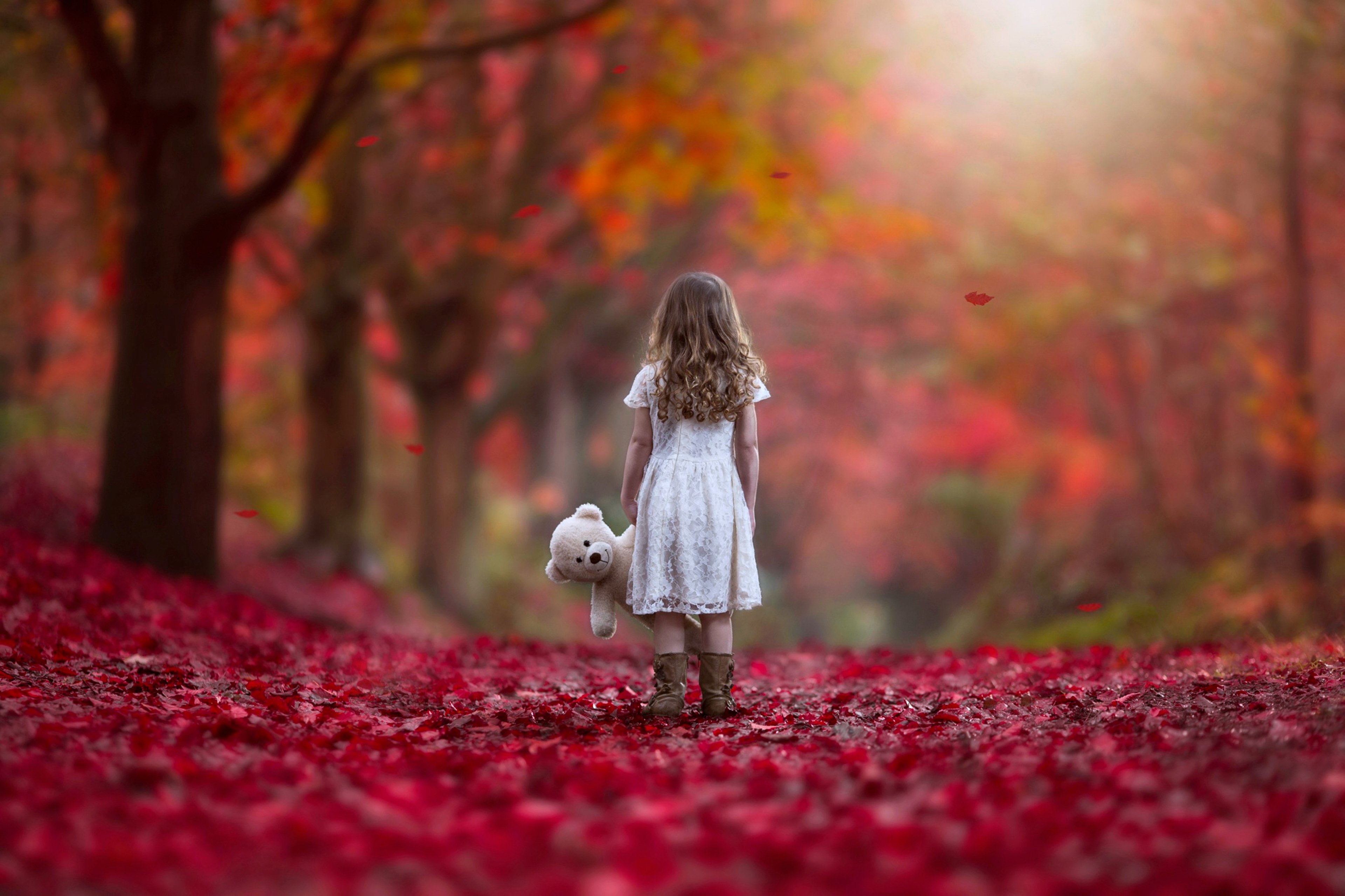 Free photo: Lonely Cute Girl - Adorable, Boy, Child - Free Download ...