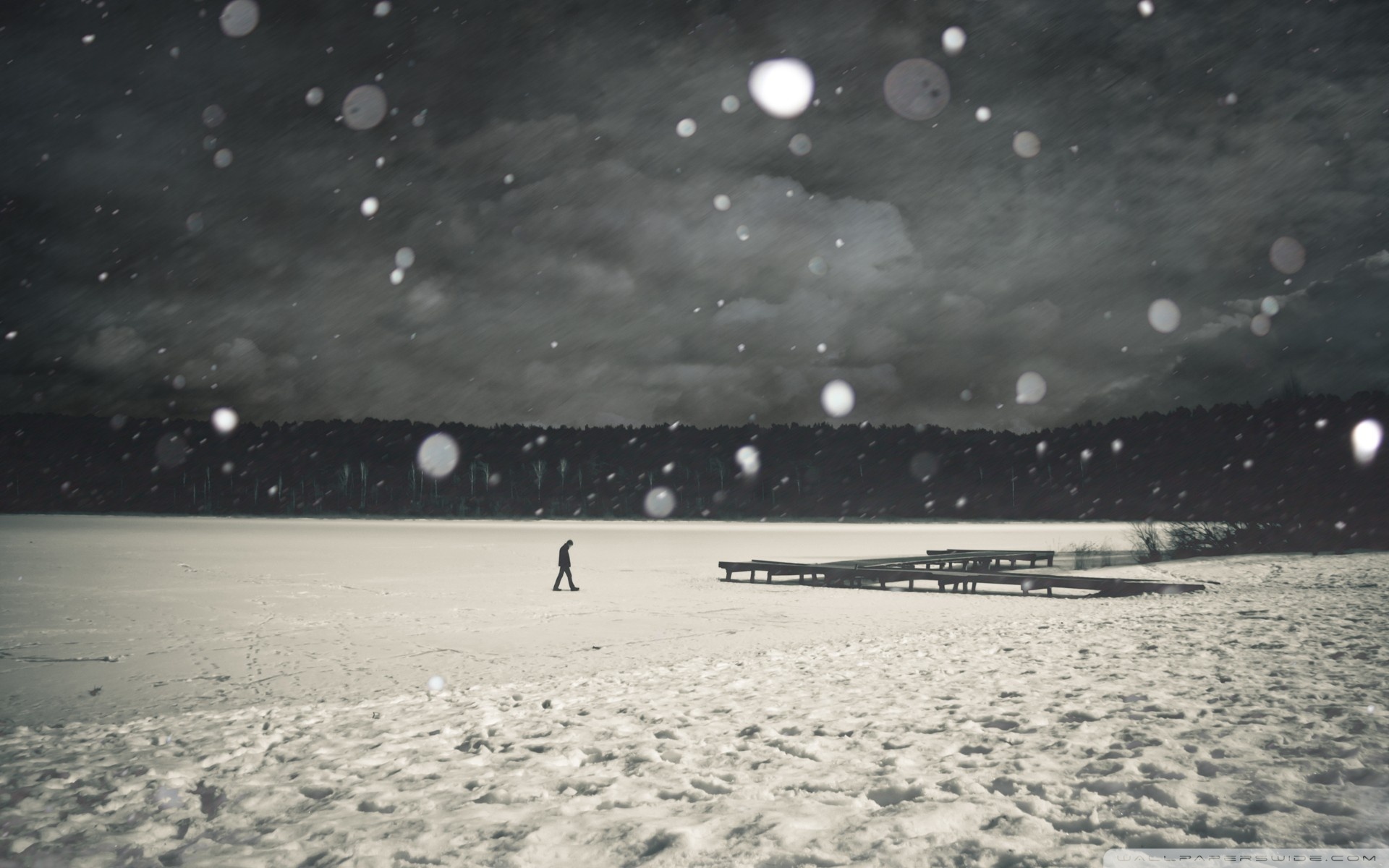 Lonely in winter photo