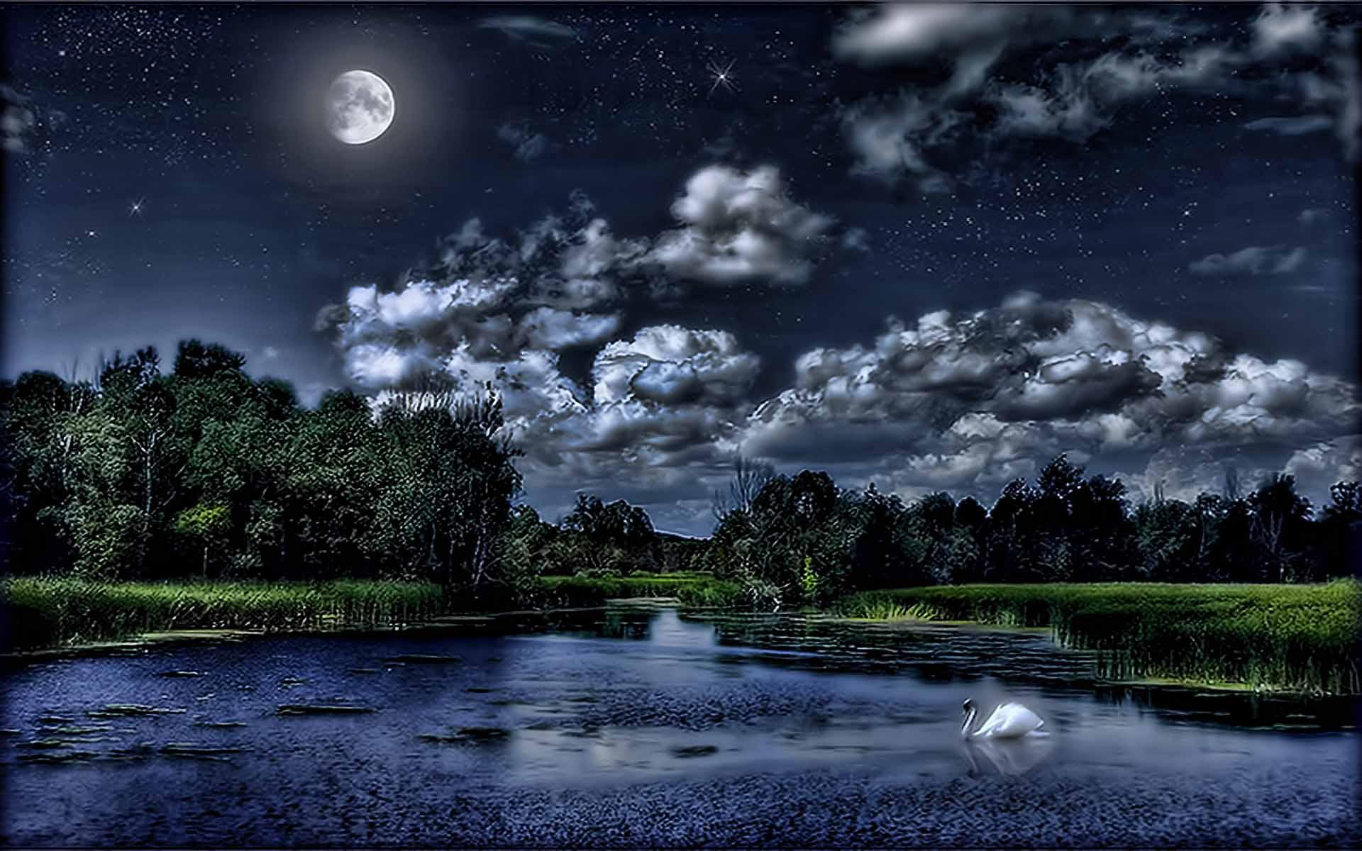 Lonely Swan By Night (id: 128215) – BUZZERG