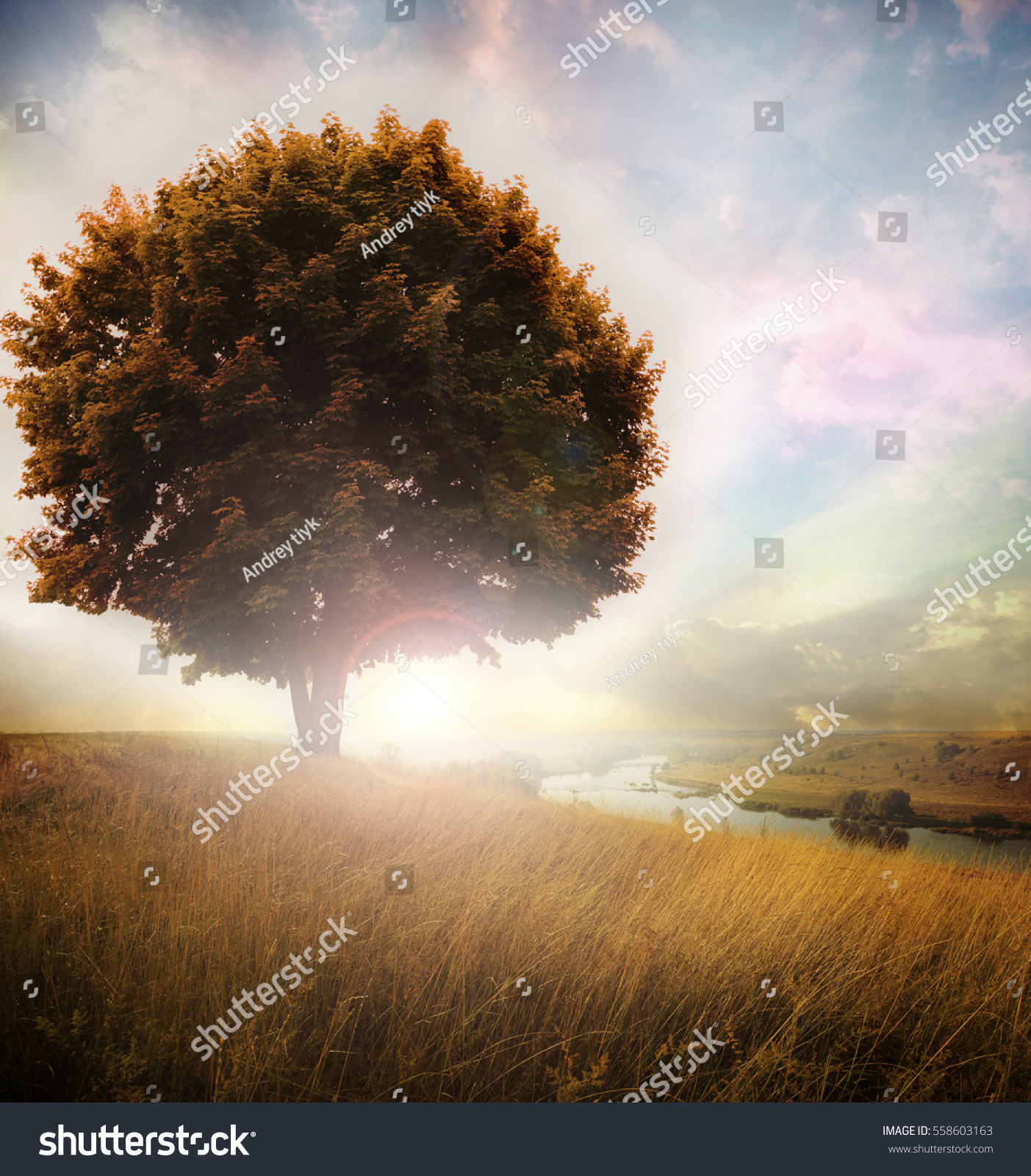 Lonely Tree Empty Field River Stock Photo (Royalty Free) 558603163 ...