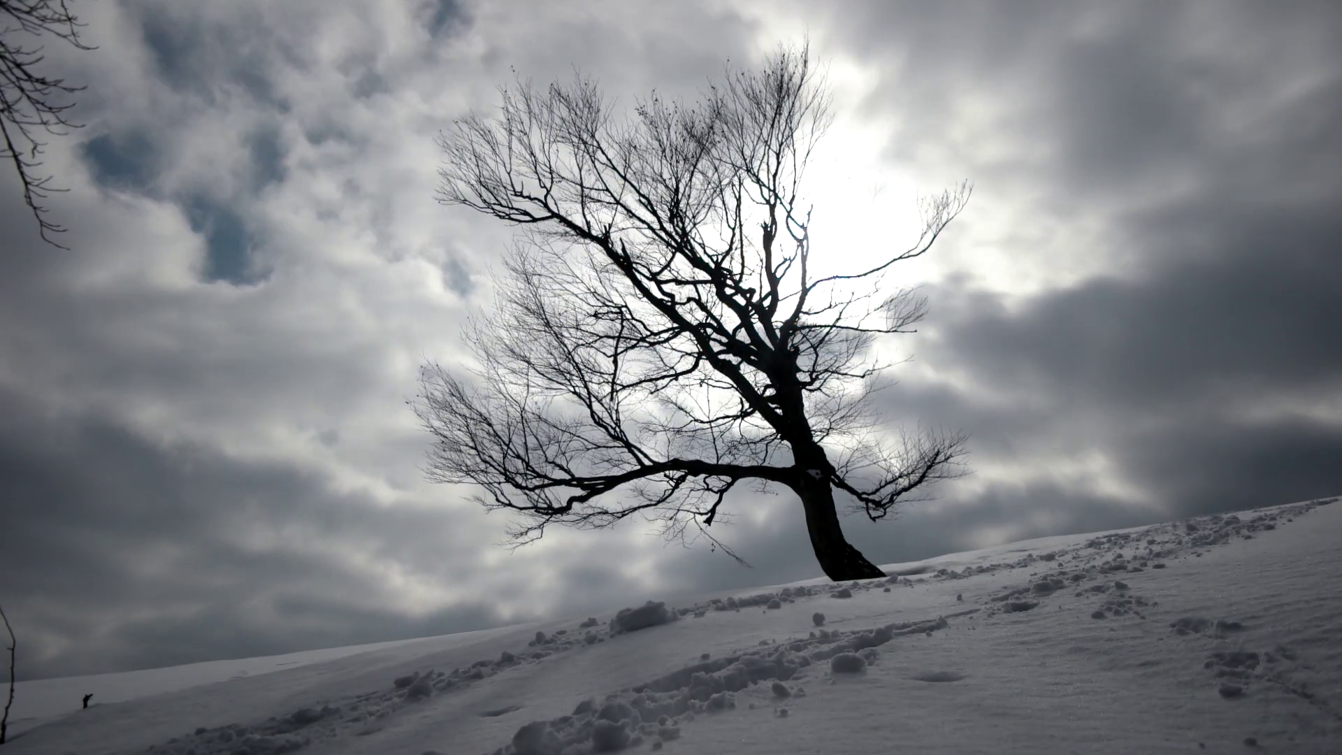 Winter Landscape, Flying Clouds Above Lonely Tree Time Lapse Stock ...