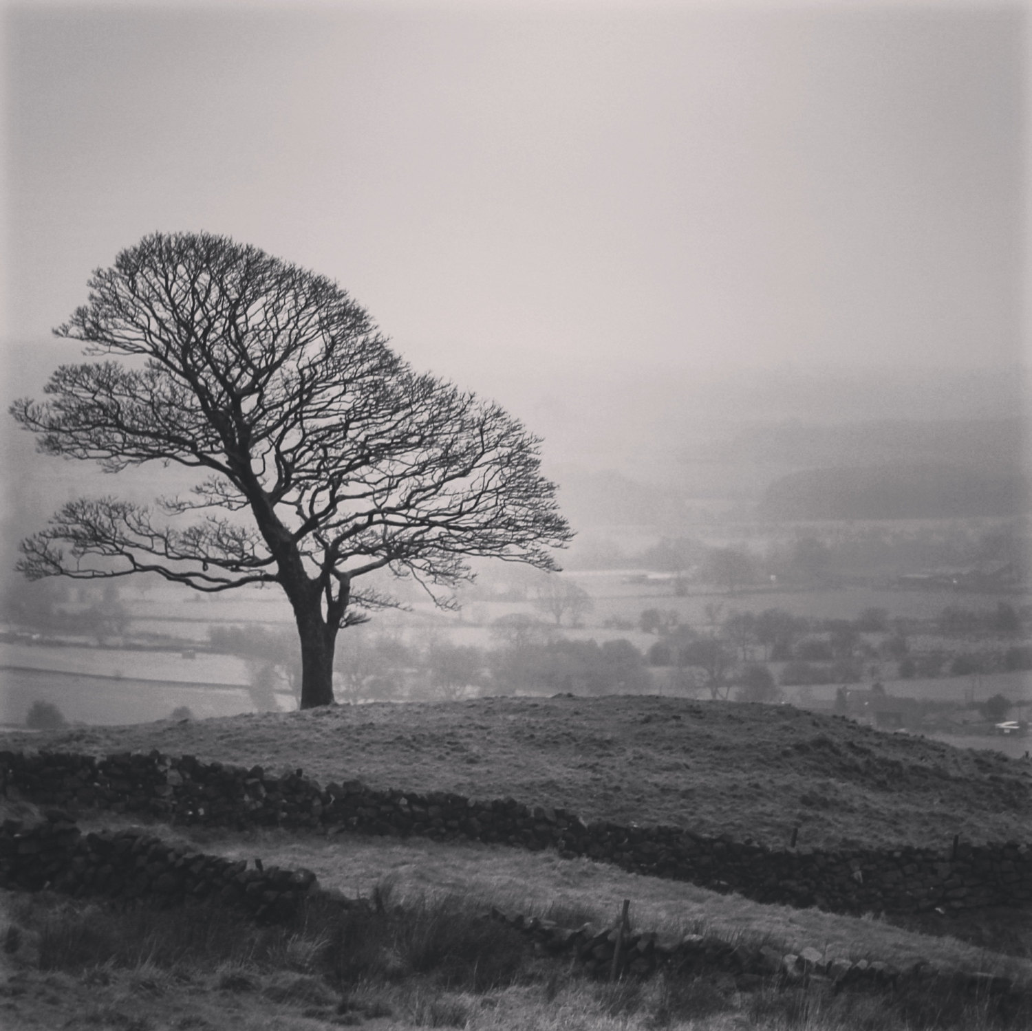 Monochrome Black Lonely tree Landscape Photography by HeavenlyCow on ...