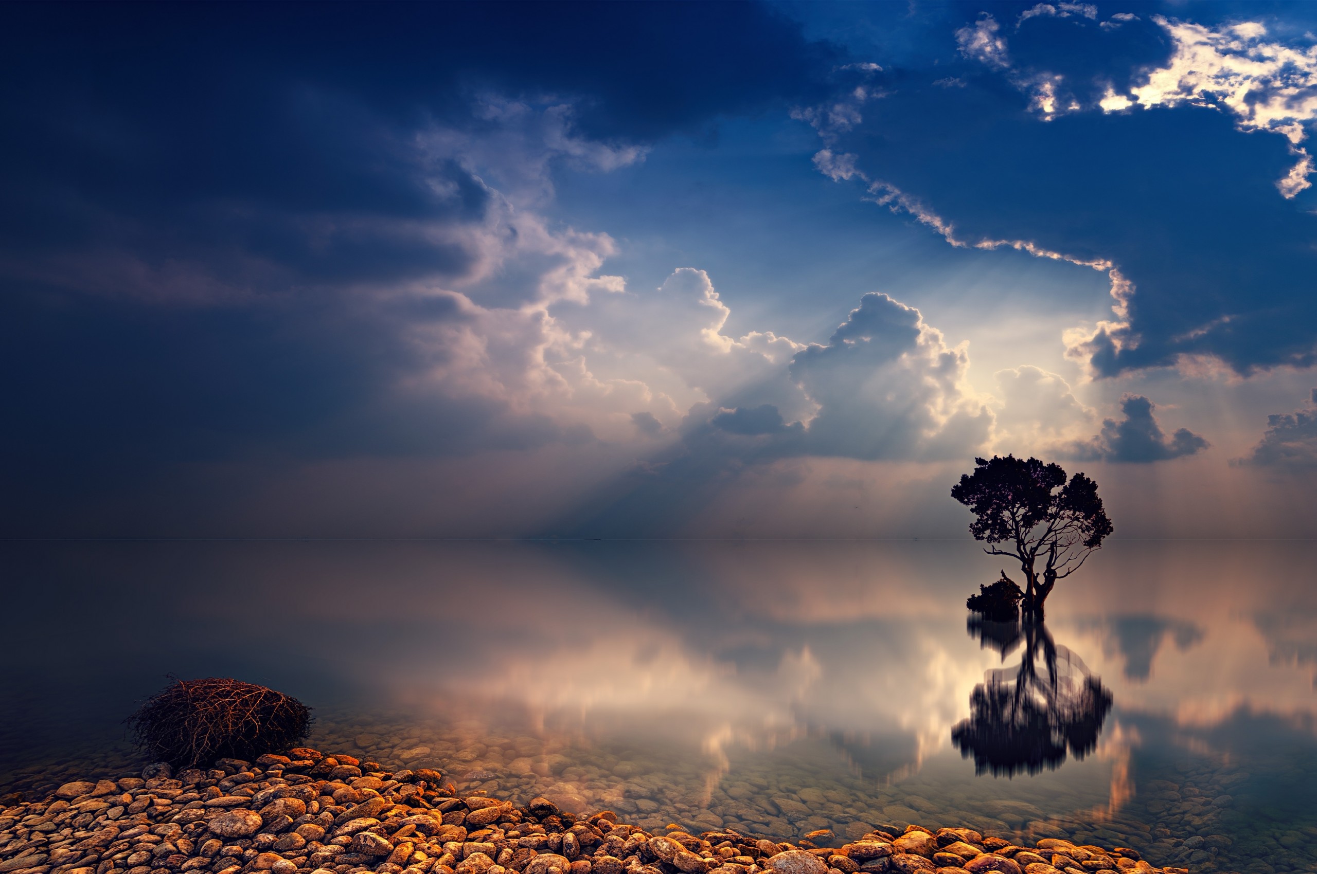Download 2560x1700 Lonely Tree, Reflection, Ocean, Horizon, Clouds ...