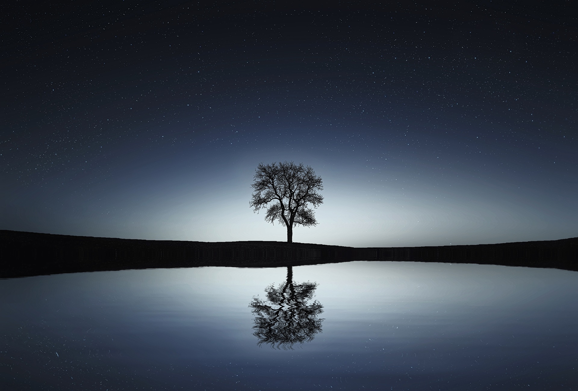 Lonely Tree Reflection, Flow, Lake, Lonely, Mirror, HQ Photo