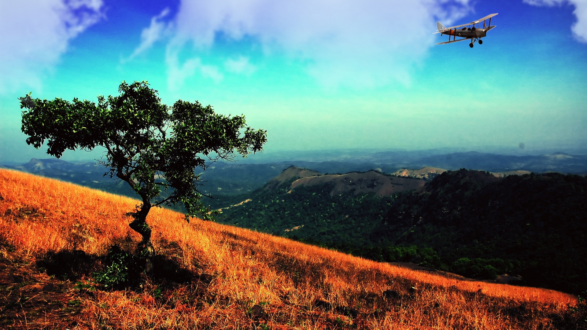 Download Wallpaper 1920x1080 tree, lonely, slope, plane, weeds ...