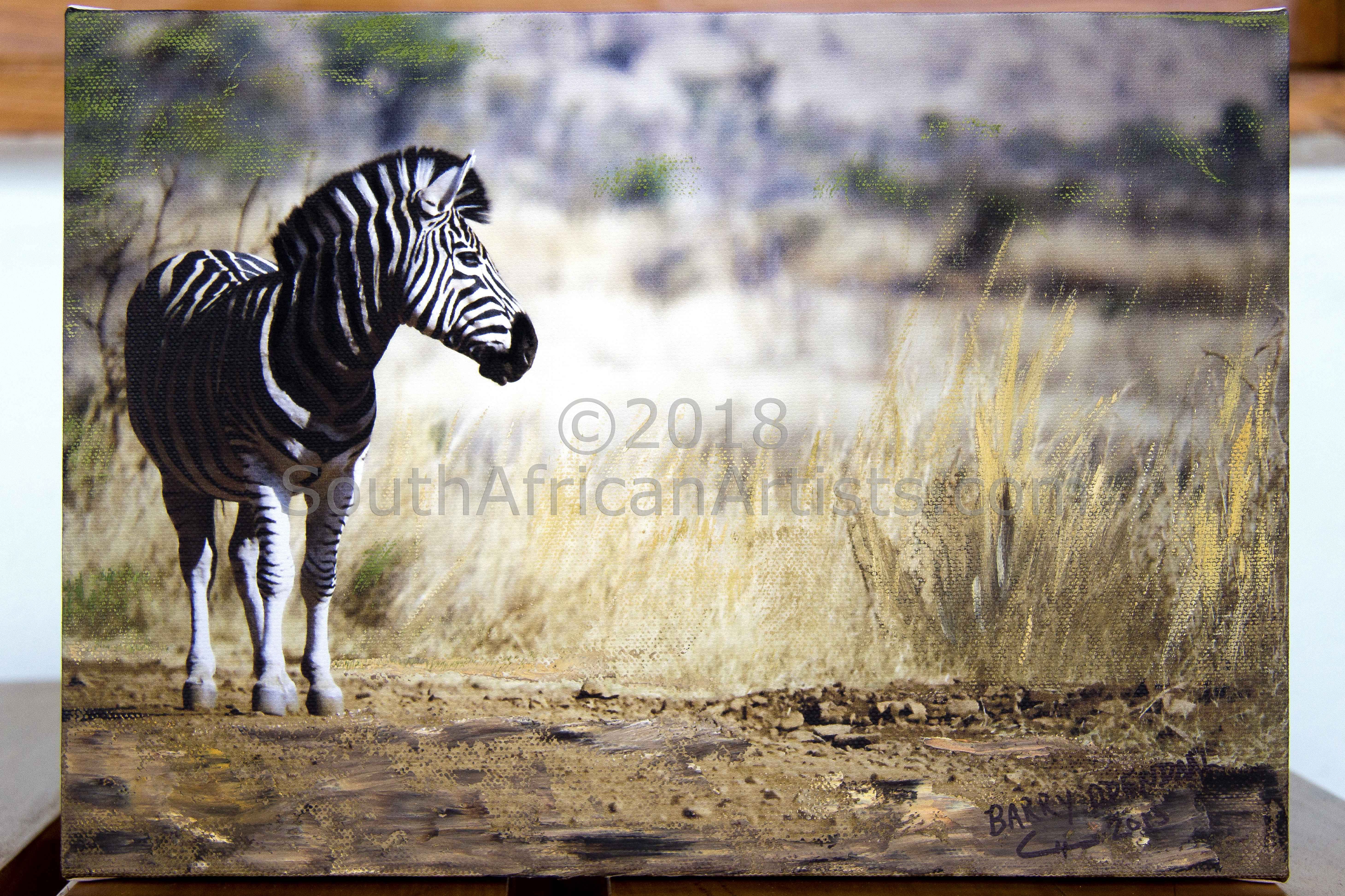 Barry Odendaal - Lonely Zebra | Animals & Wildlife Art Fine Art